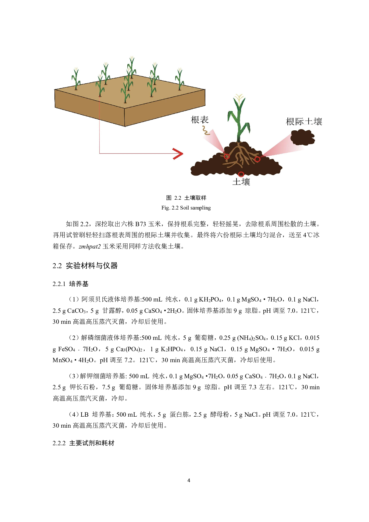 玉米根际促生菌的筛选鉴定及特性研究-11677字.pdf 第6页