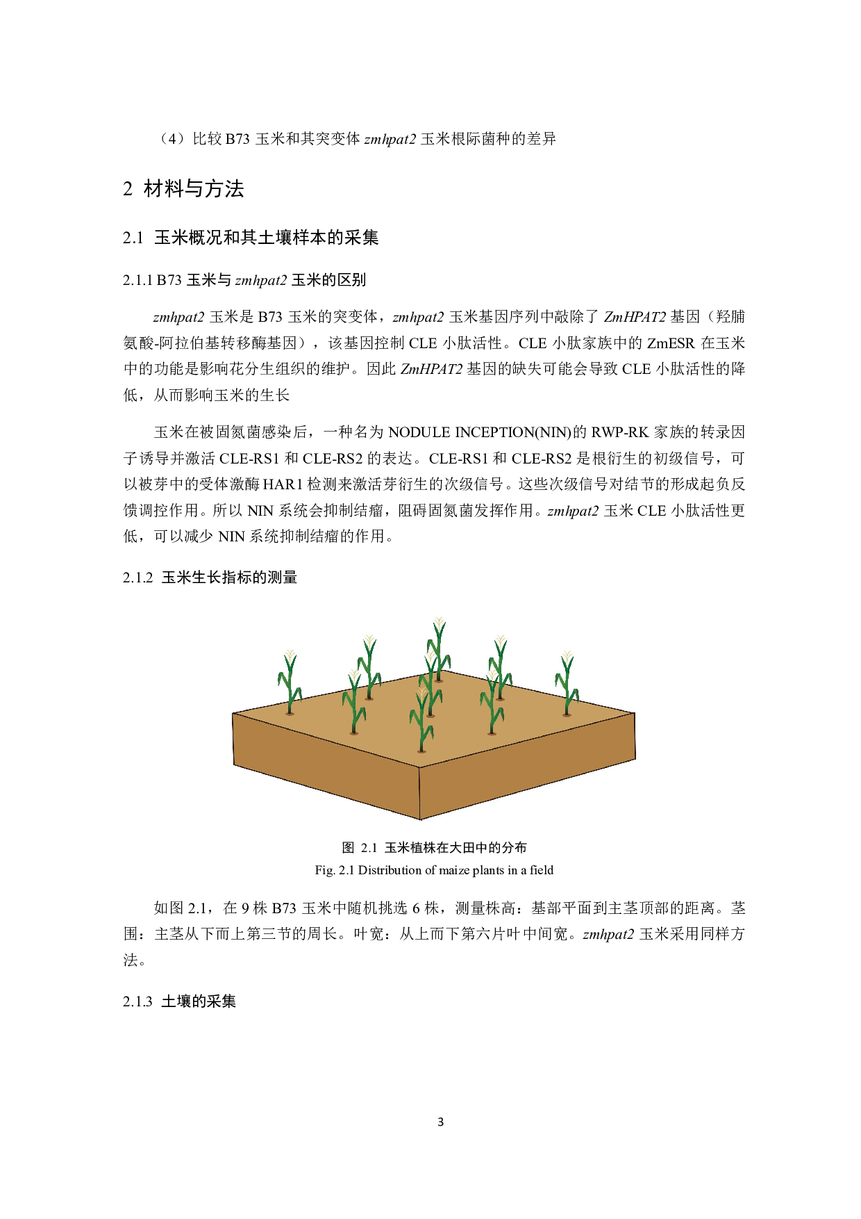 玉米根际促生菌的筛选鉴定及特性研究-11677字.pdf 第5页