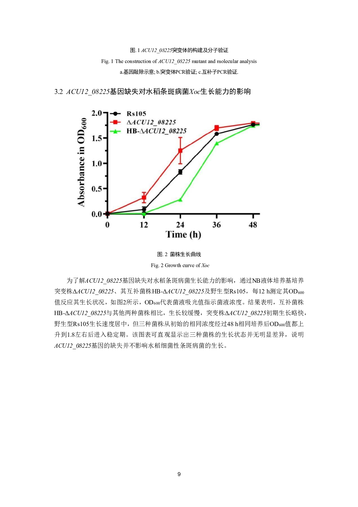 水稻条斑病菌LysR家族转录因子ACU12_08225突变株的构建及生物学功能研究-10164字.pdf 第10页