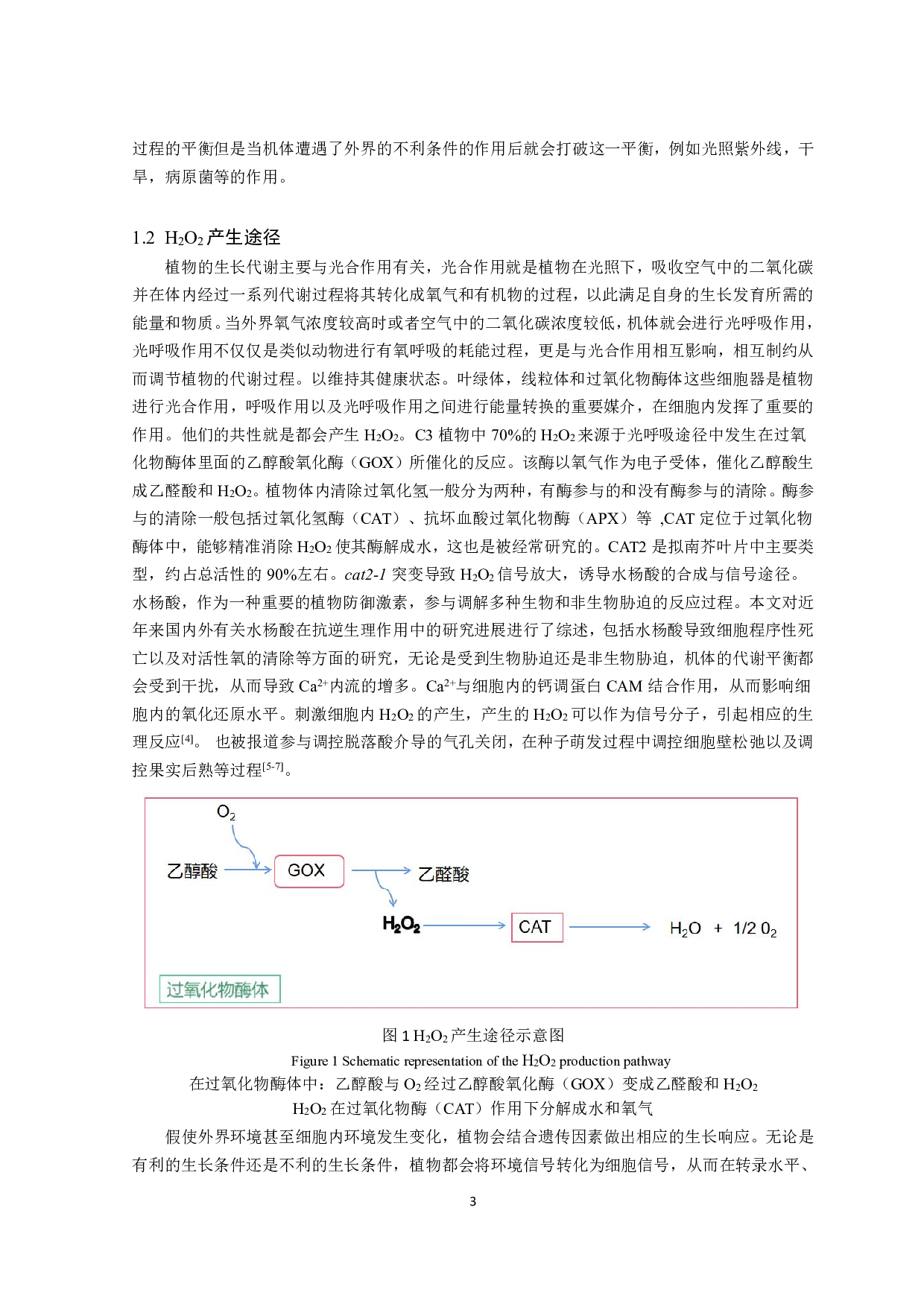 拟南芥HPCA1调控氧化应激响应的作用机制初探-10357字.pdf 第5页