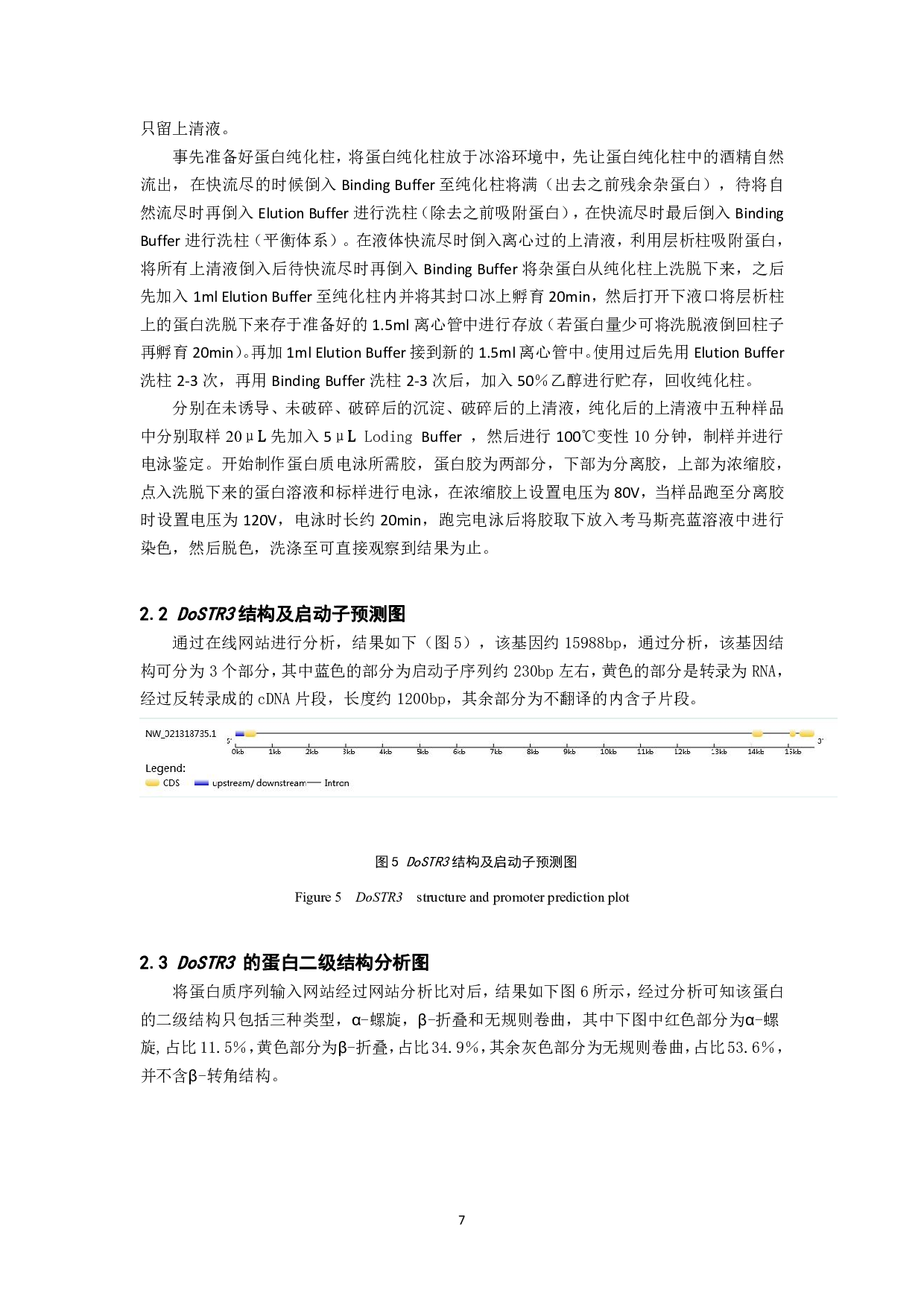 铁皮石斛DoSTR克隆及生物信息学分析-7756字.pdf 第8页