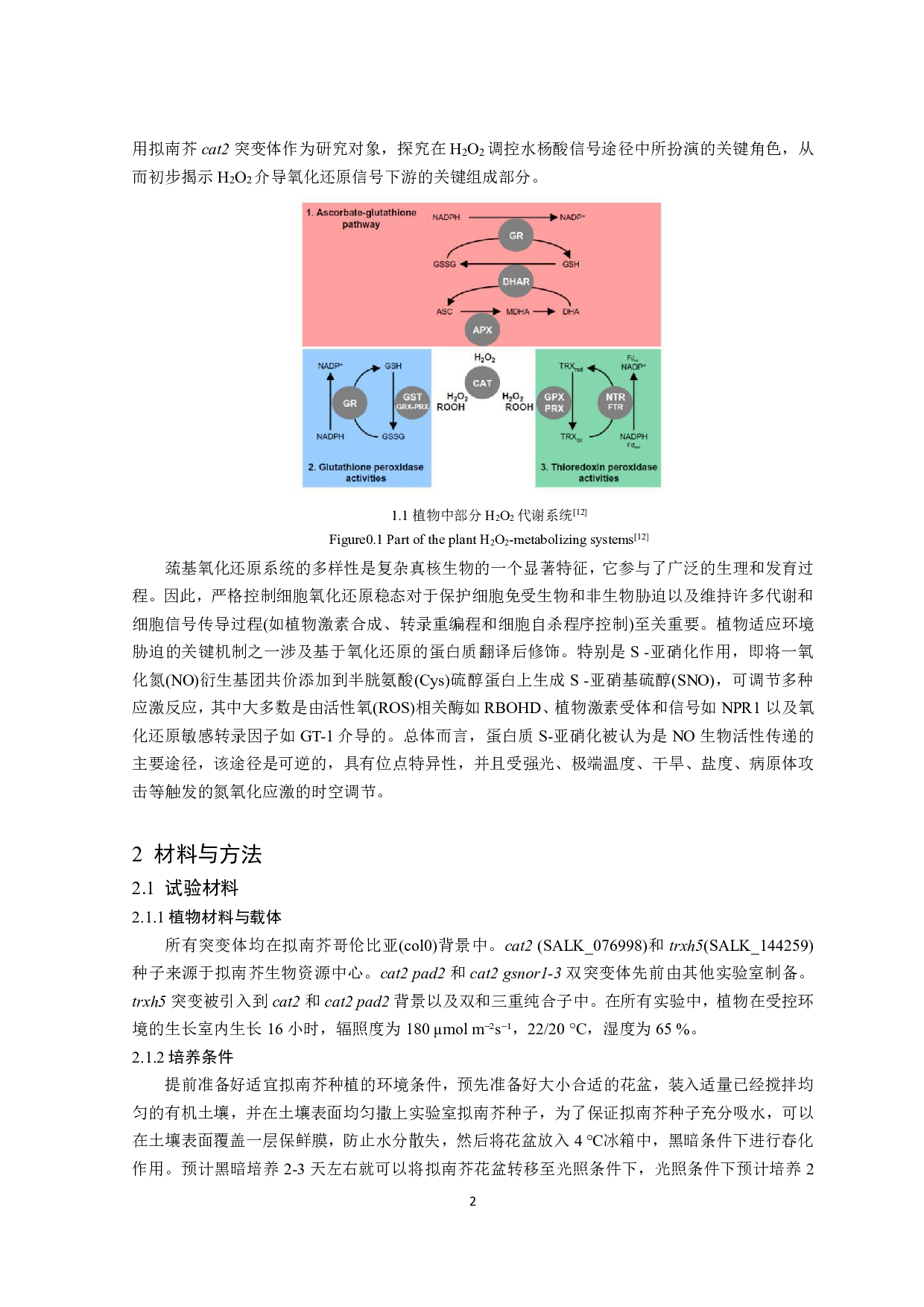 拟南芥GSH调控氧化应激响应的作用机制初探-10542字.pdf 第5页