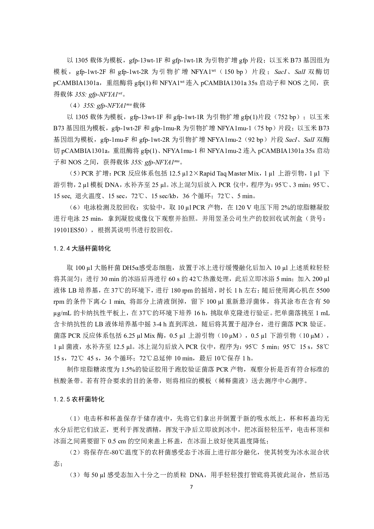 玉米zma-miR169s靶基因NF-YA1验证-8544字.pdf 第6页