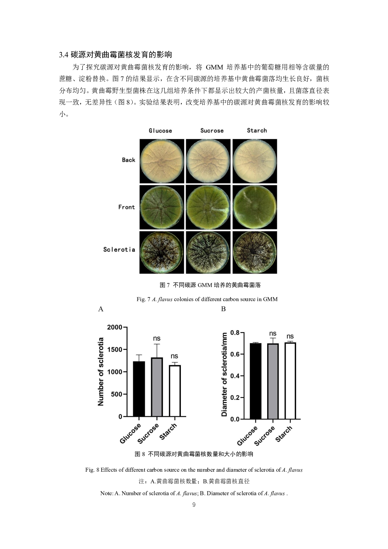 黄曲霉菌菌核发育影响因素探究-9869字.pdf 第10页