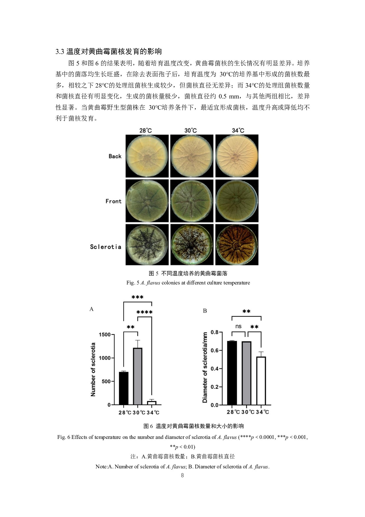 黄曲霉菌菌核发育影响因素探究-9869字.pdf 第9页