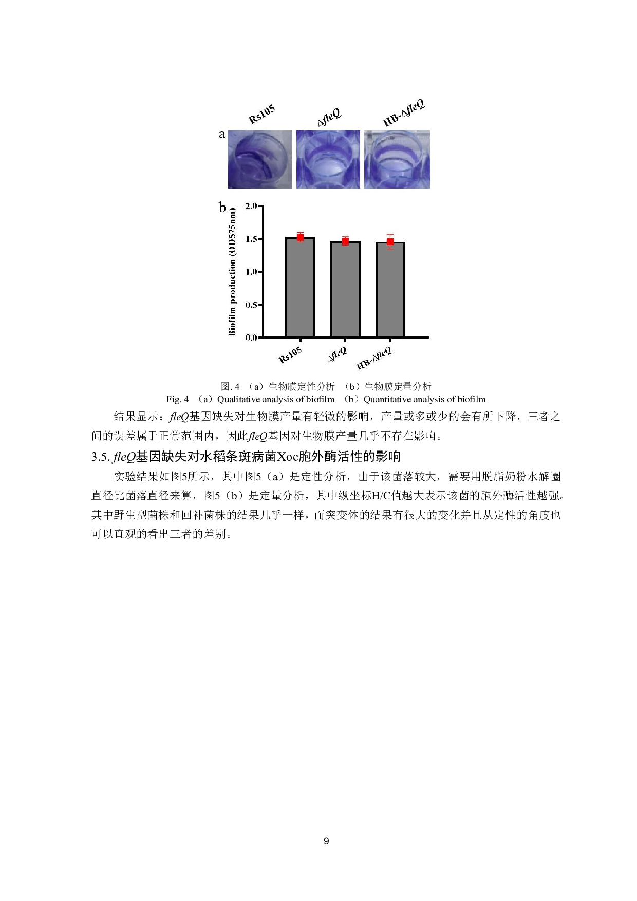 水稻条斑病菌fleQ基因敲除突变株的构建及生物学功能研究-10105字.pdf 第10页