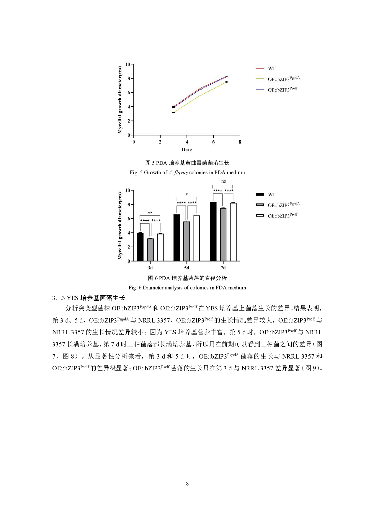 黄曲霉bZIP3基因过表达突变株表型分析-10097字.pdf 第9页