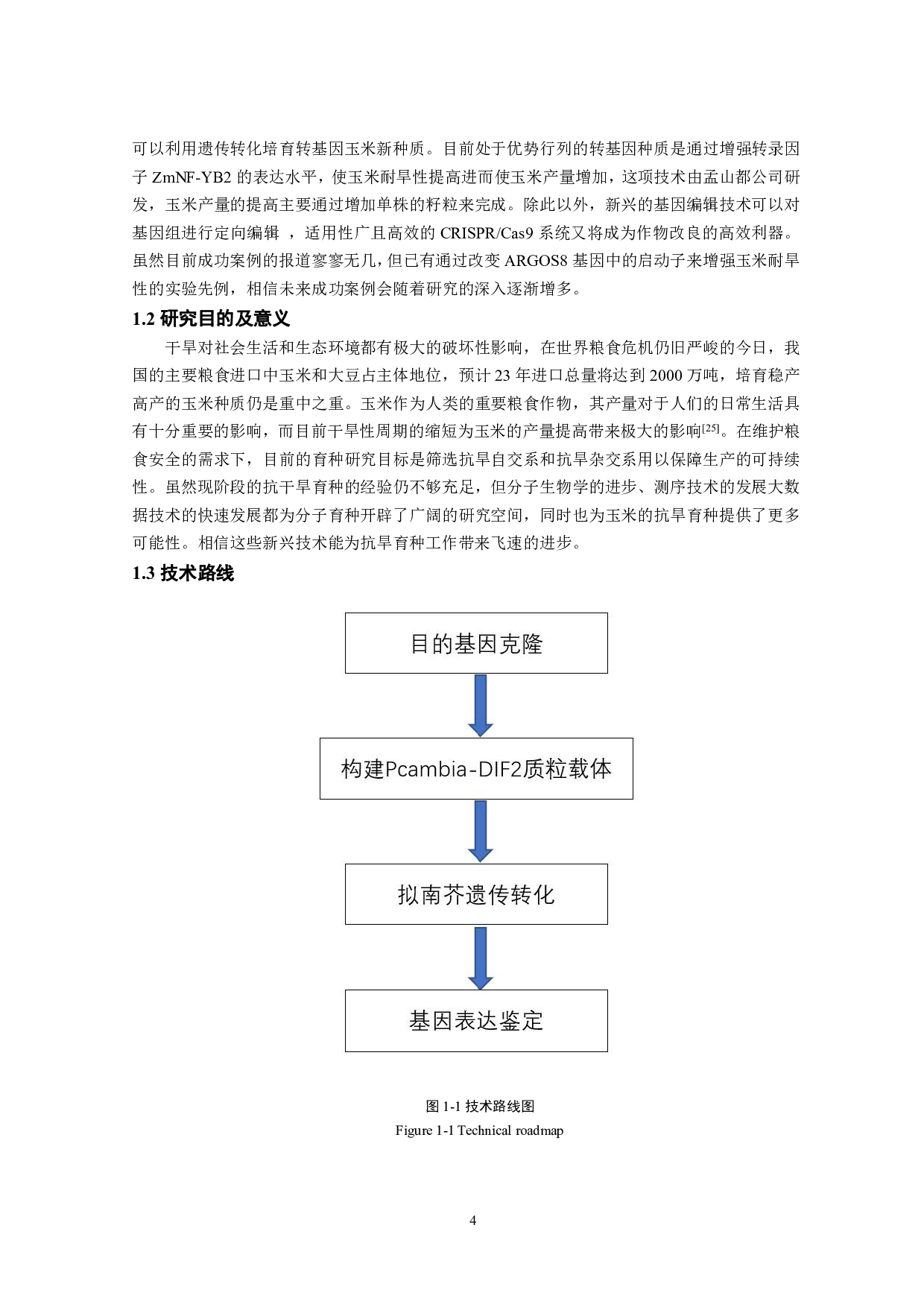 玉米干旱响应基因DIF2在拟南芥中的功能分析-11345字.pdf 第5页
