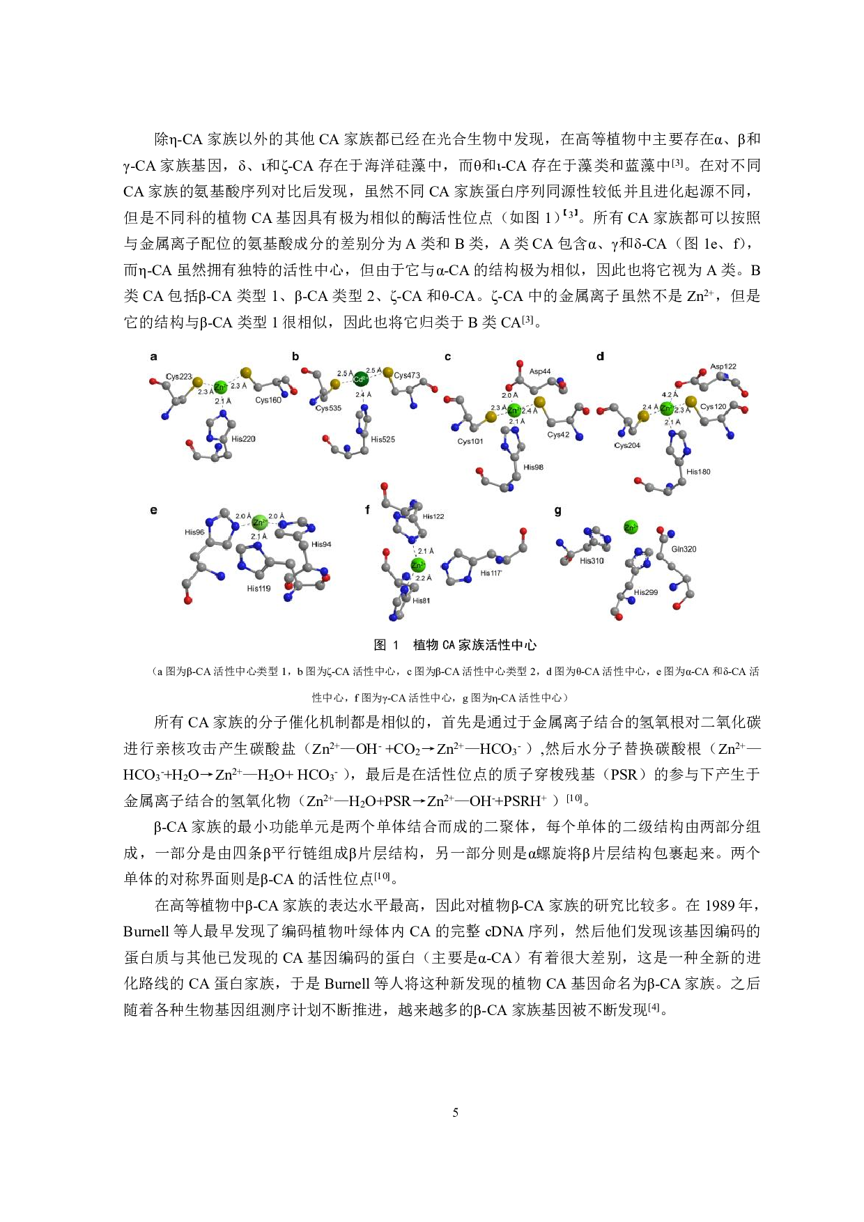 异源表达ZmCA2对促进番茄光合作用的研究-8644字.pdf 第4页