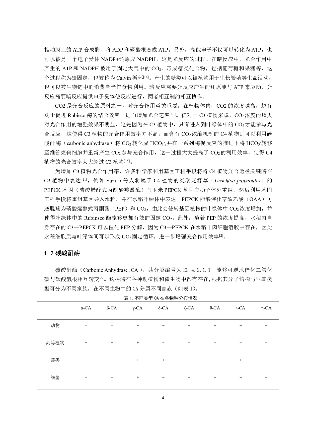 异源表达ZmCA2对促进番茄光合作用的研究-8644字.pdf 第3页