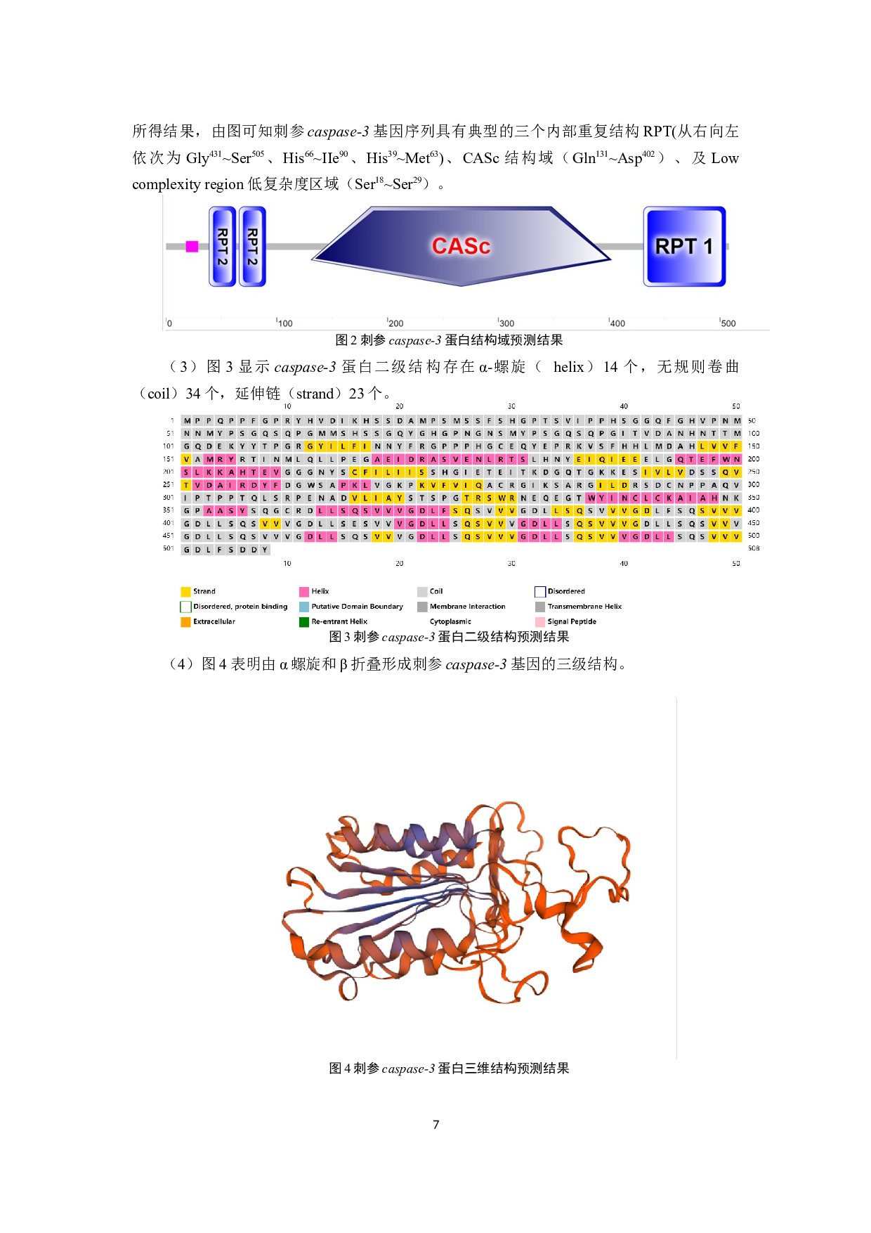 刺参caspase-3基因cDNA序列分析及其在组织中的表达-7988字.docx 第10页