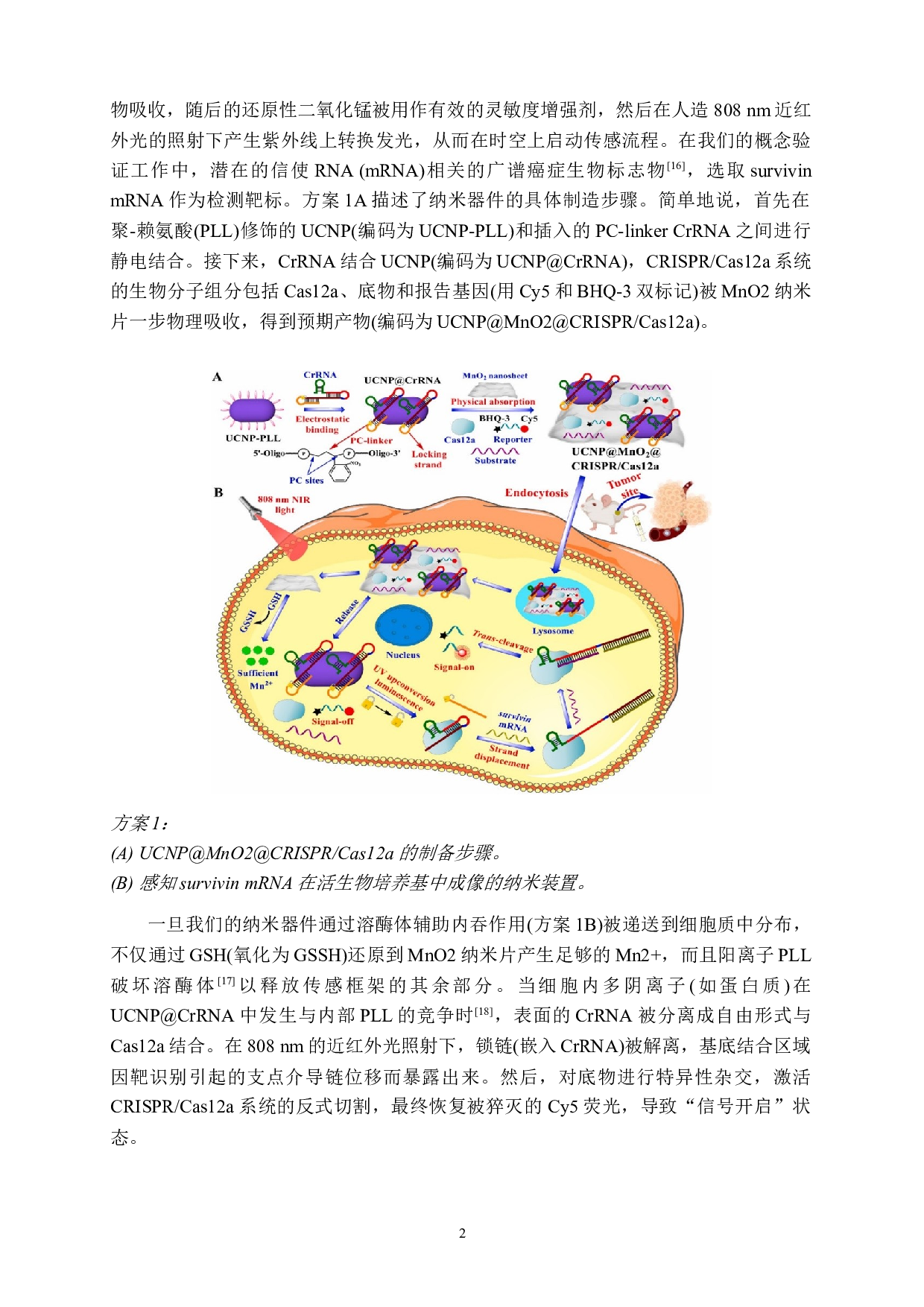 智能化近红外光门控的CRISPRCas12a荧光生物传感器-18605字.docx 第5页