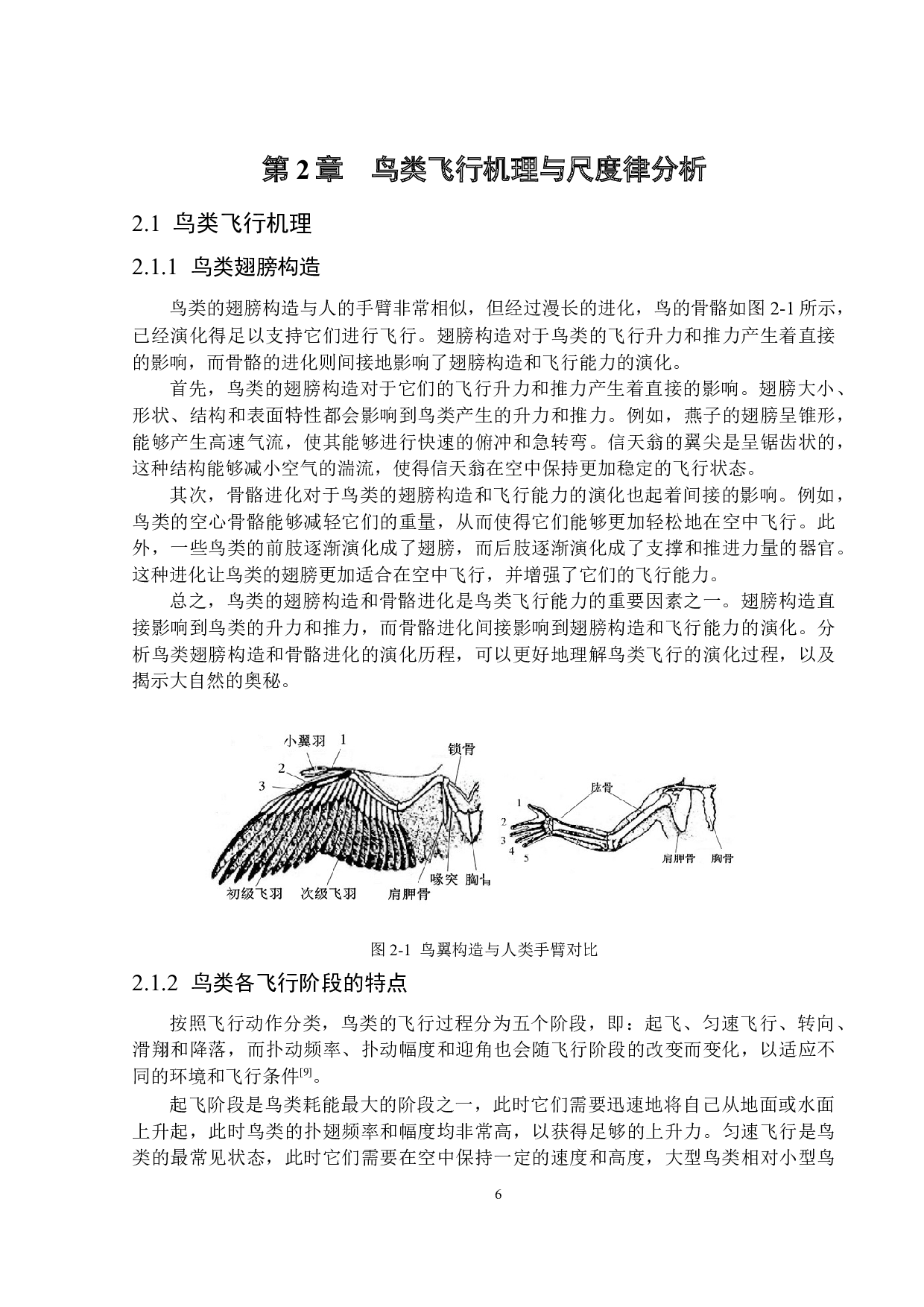 双段式扑翼仿生飞行器的结构设计与仿真分析-28907字.docx 第10页