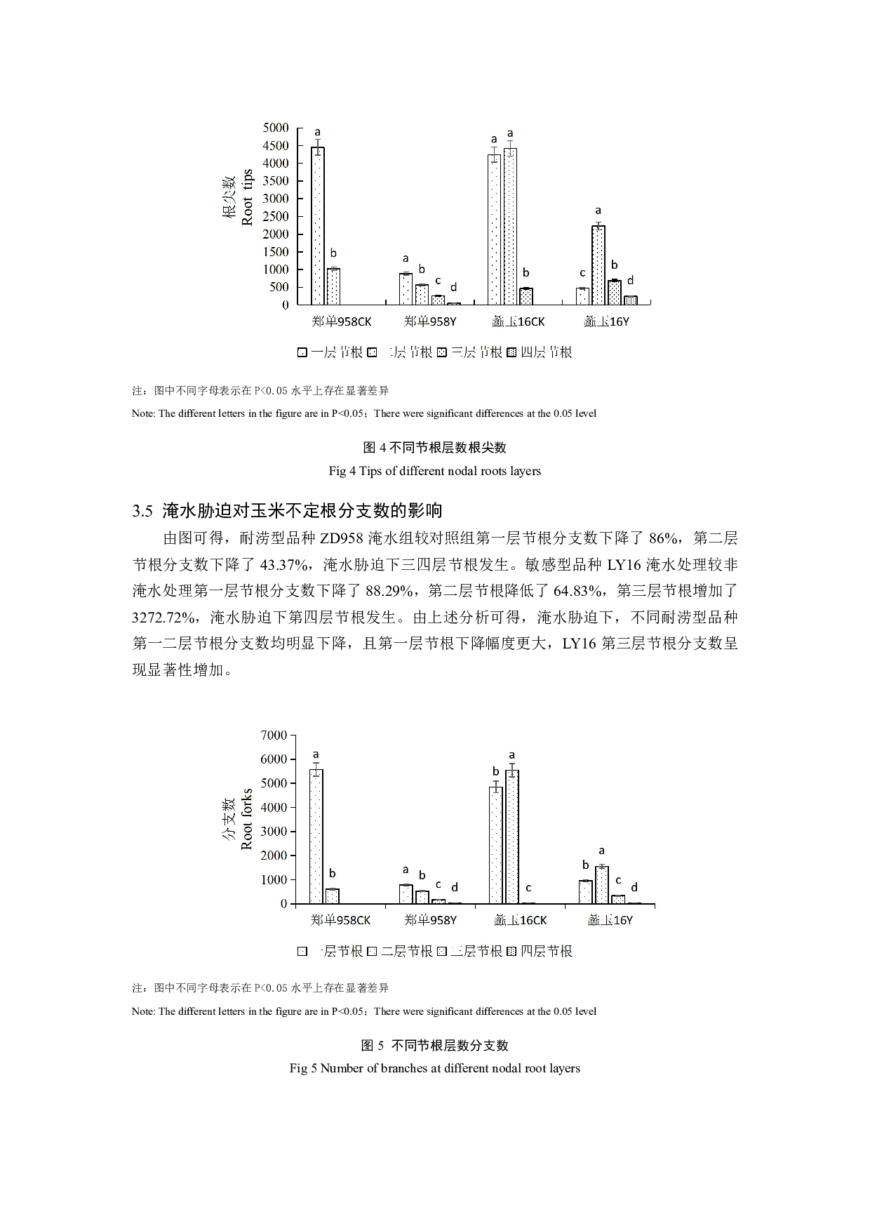 淹水胁迫对玉米不定根形态结构的影响-7348字.pdf 第6页