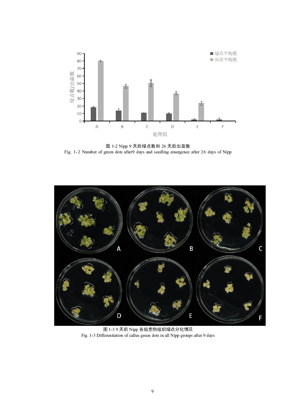 水稻愈伤组织再生响应激素处理的研究-9225字.pdf 第8页