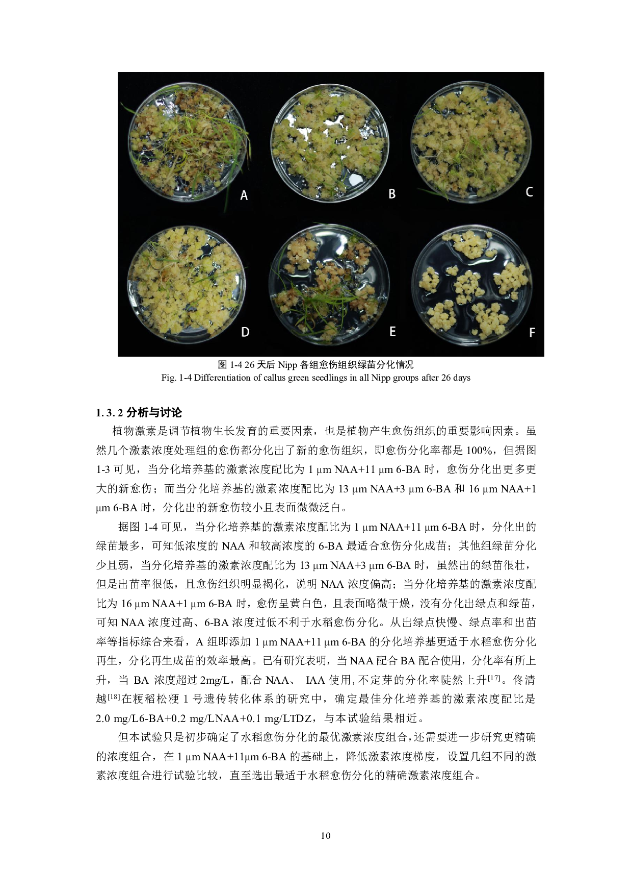 水稻愈伤组织再生响应激素处理的研究-9225字.pdf 第9页