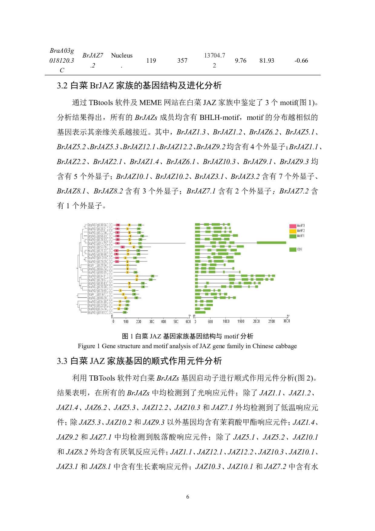 白菜抗逆相关基因家族BrJAZ的鉴定-7397字.pdf 第7页
