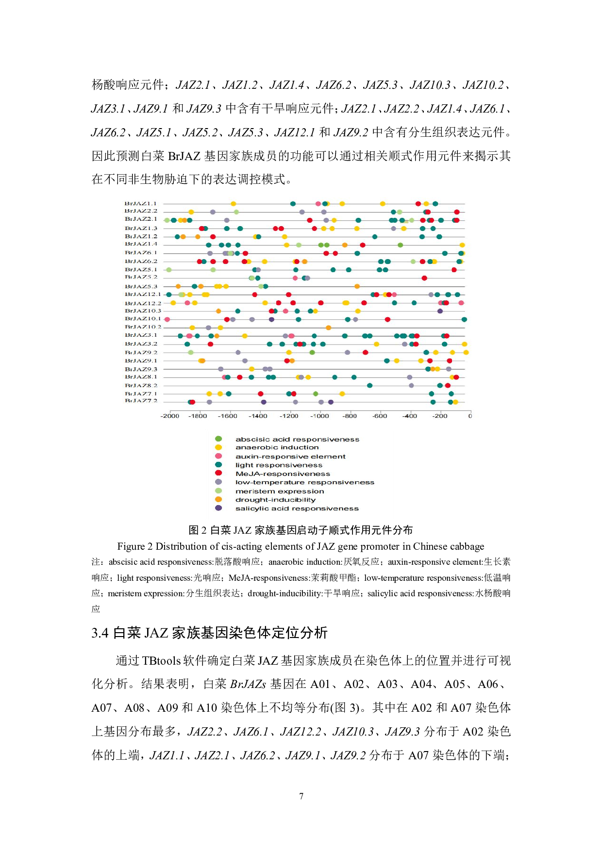 白菜抗逆相关基因家族BrJAZ的鉴定-7397字.pdf 第8页