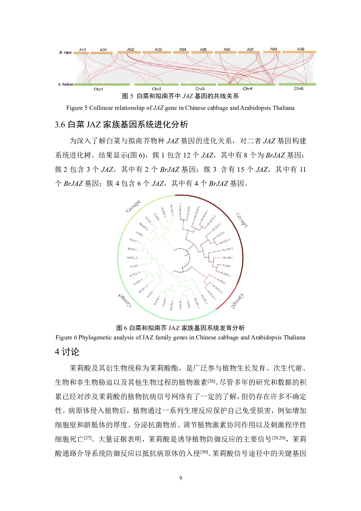 白菜抗逆相关基因家族BrJAZ的鉴定-7397字.pdf 第10页