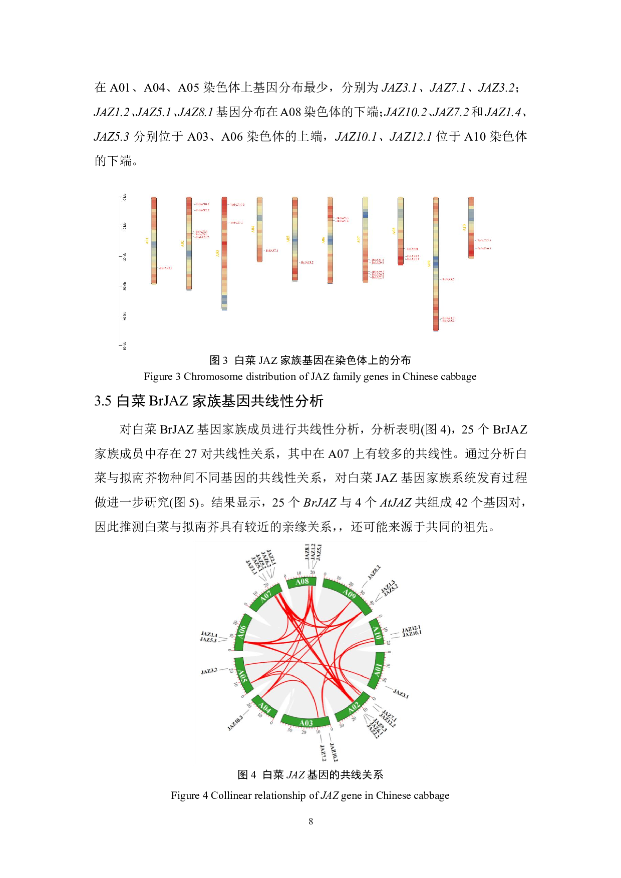 白菜抗逆相关基因家族BrJAZ的鉴定-7397字.pdf 第9页