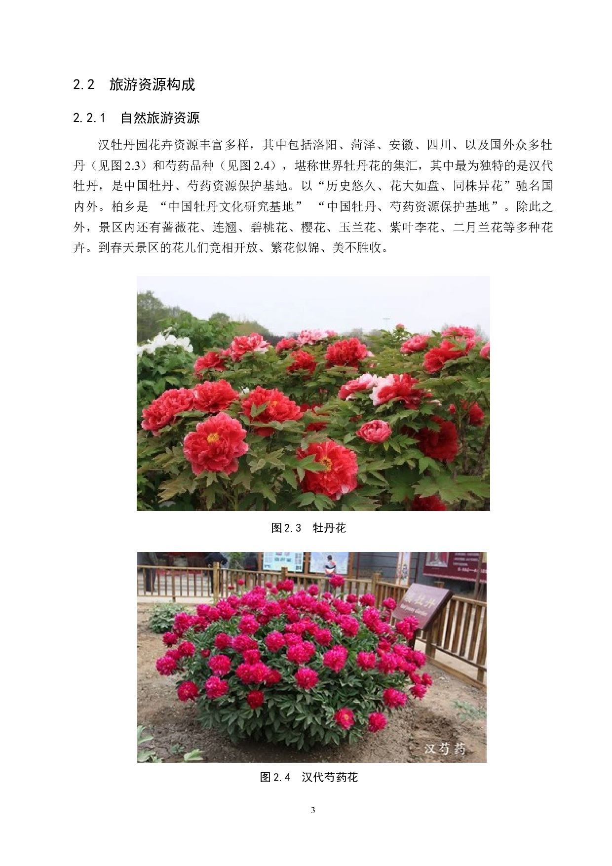 邢台市柏乡汉牡丹园景区现状及发展策略研究-13090字.docx 第7页