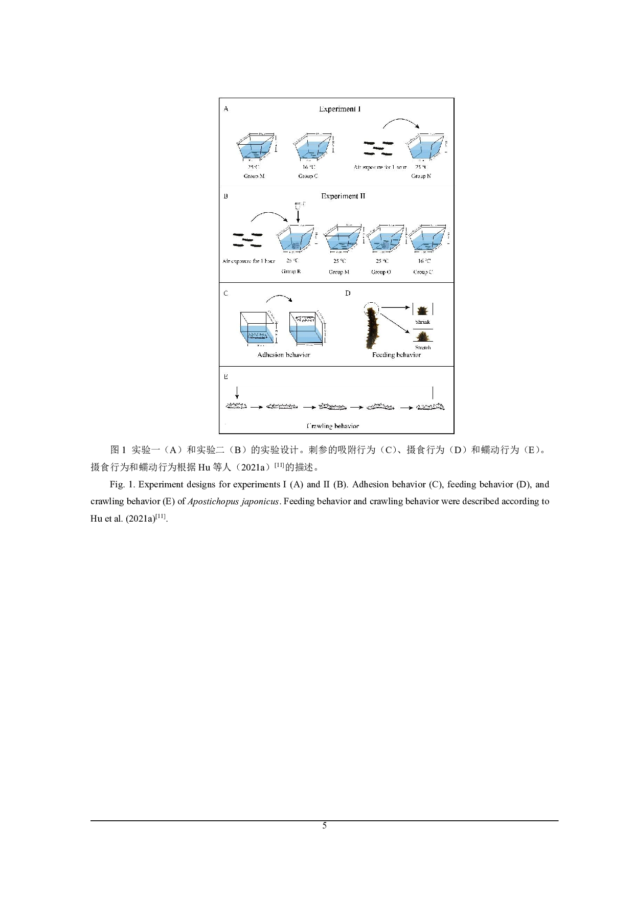 改善刺参在高温下行为和消化的新方法-9350字.pdf 第9页