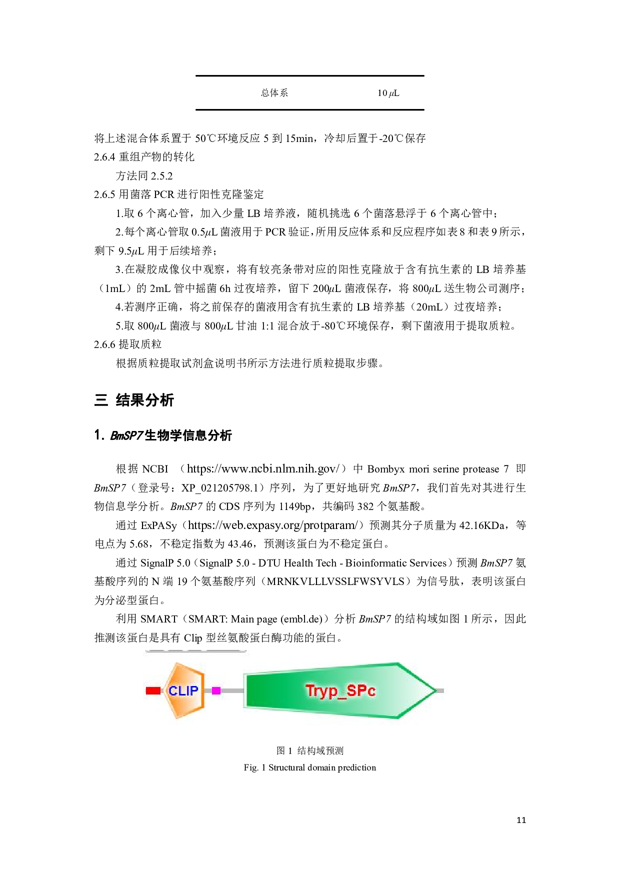 家蚕BmSP7酵母双杂表达载体的构建-6470字.pdf 第10页