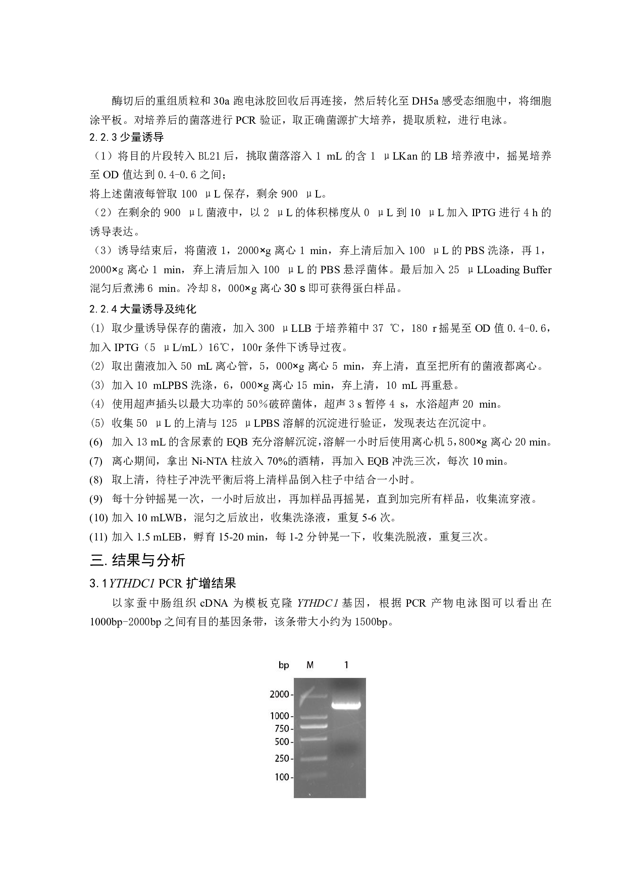 家蚕YTHDC1基因的克隆和原核表达-6300字.pdf 第7页