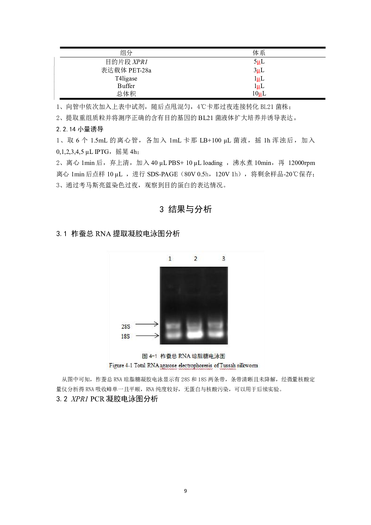 柞蚕XPR1的克隆及原核表达分析-7527字.pdf 第10页