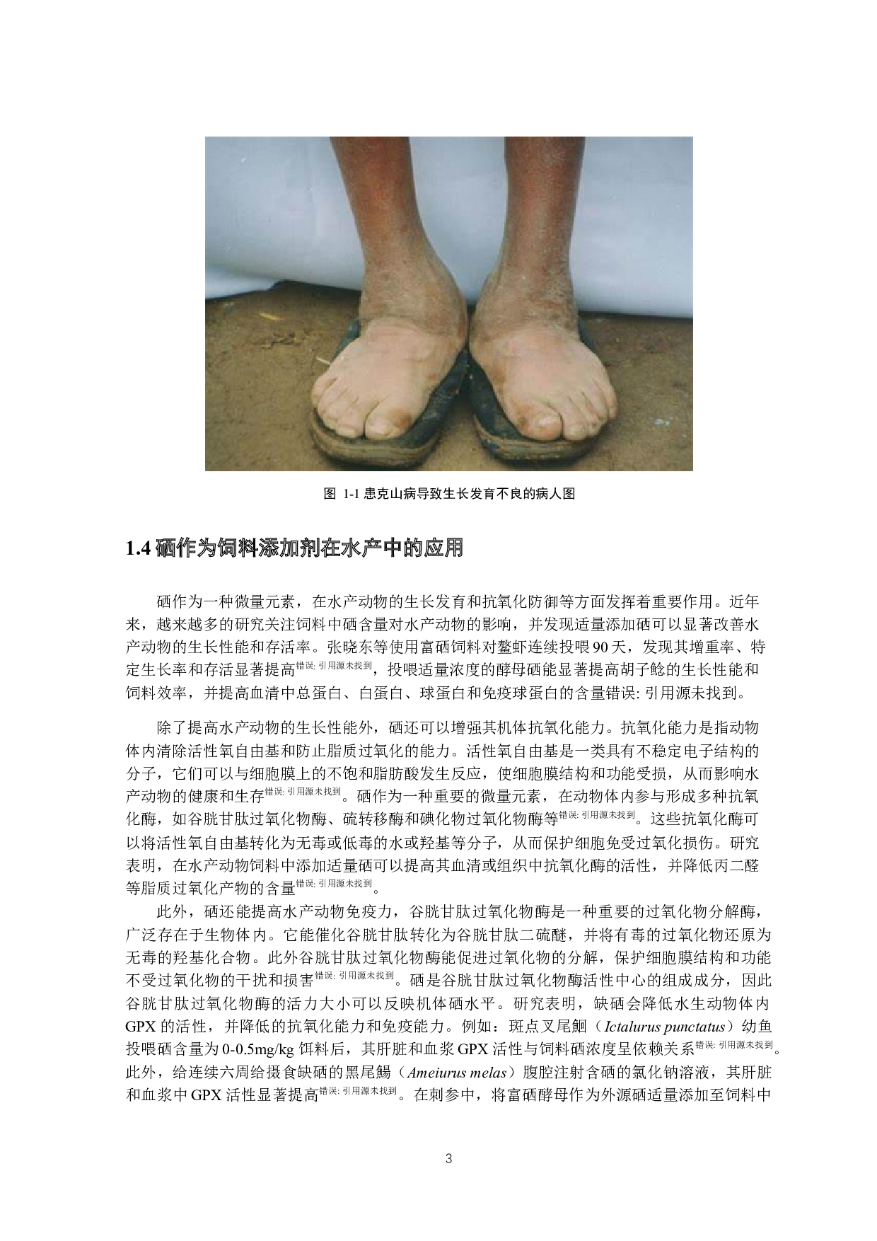 中间球海胆富硒能力研究-11164字.docx 第6页