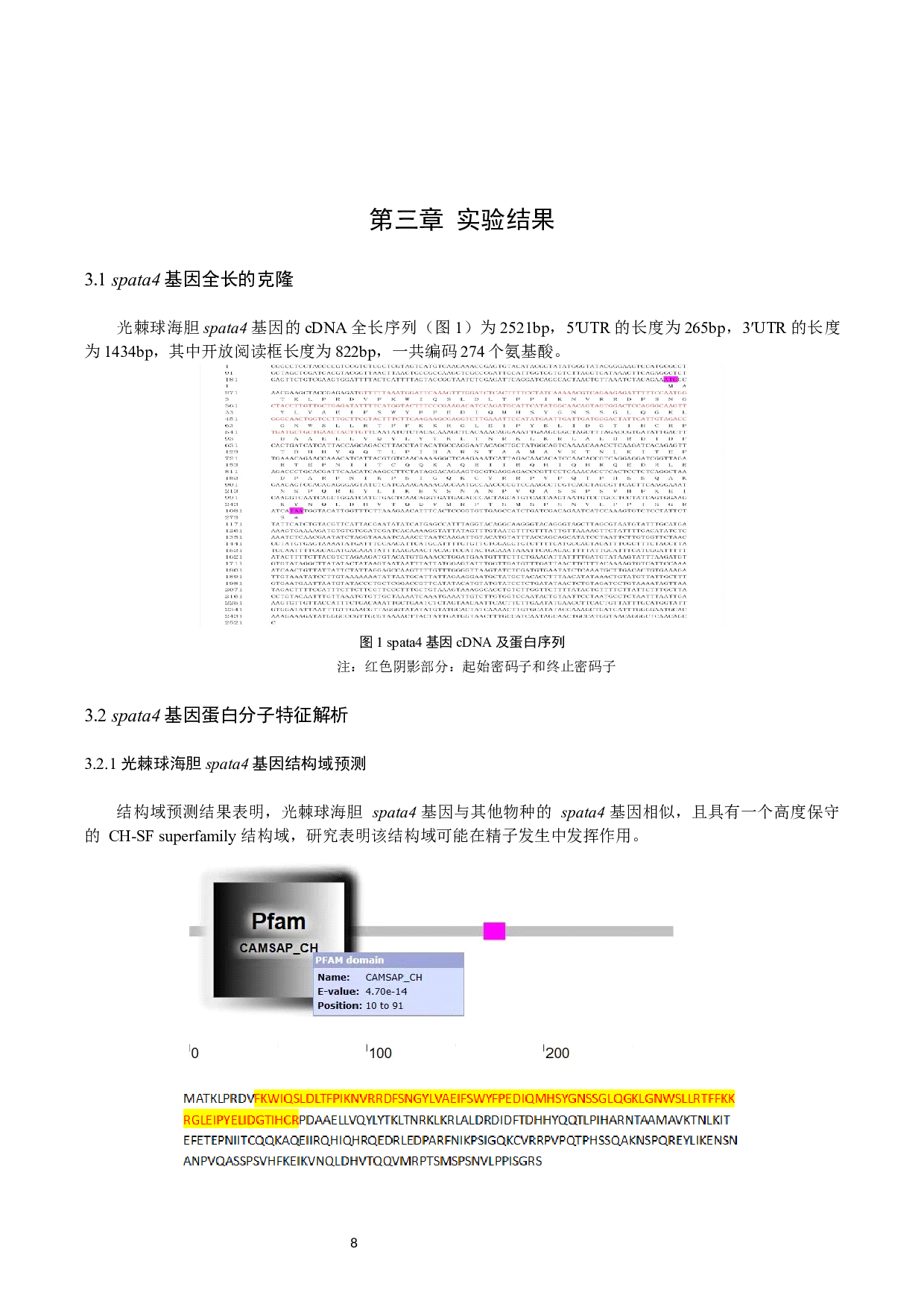 光棘球海spata4基因克隆与表达特性分析-9168字.docx 第9页