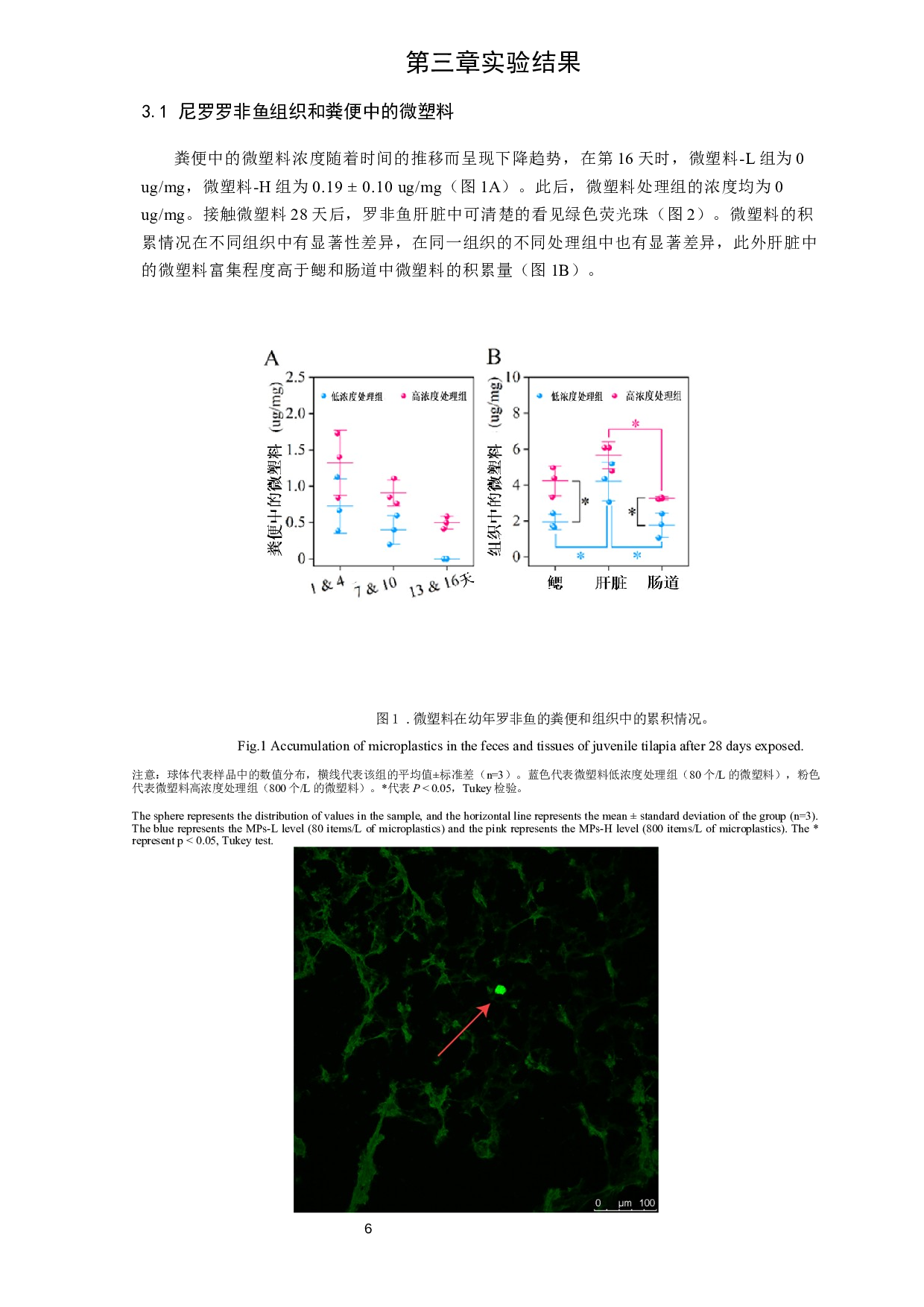 微塑料对生物絮团养殖罗非鱼的影响-10490字.docx 第9页