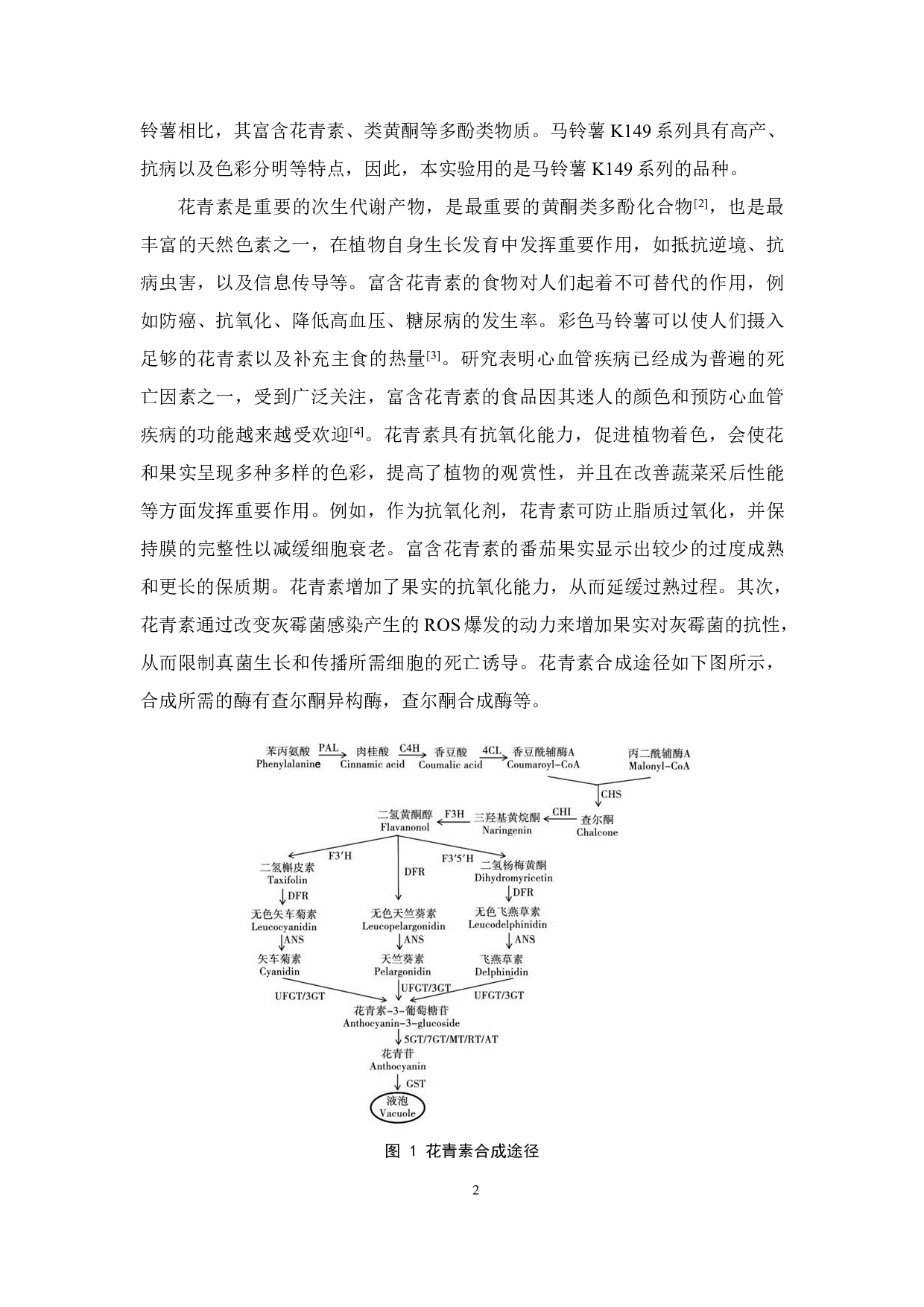 马铃薯CHS4基因克隆及载体构建-12537字.pdf 第4页