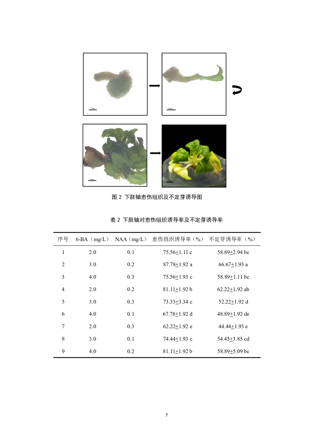 乌菜下胚轴再生体系建立-6947字.pdf 第8页