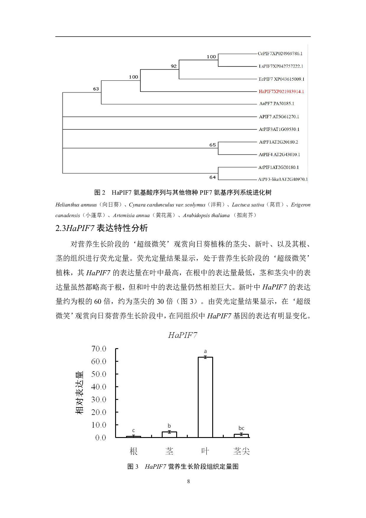 观赏向日葵HaPIF7基因克隆和表达特性分析-9666字.pdf 第9页
