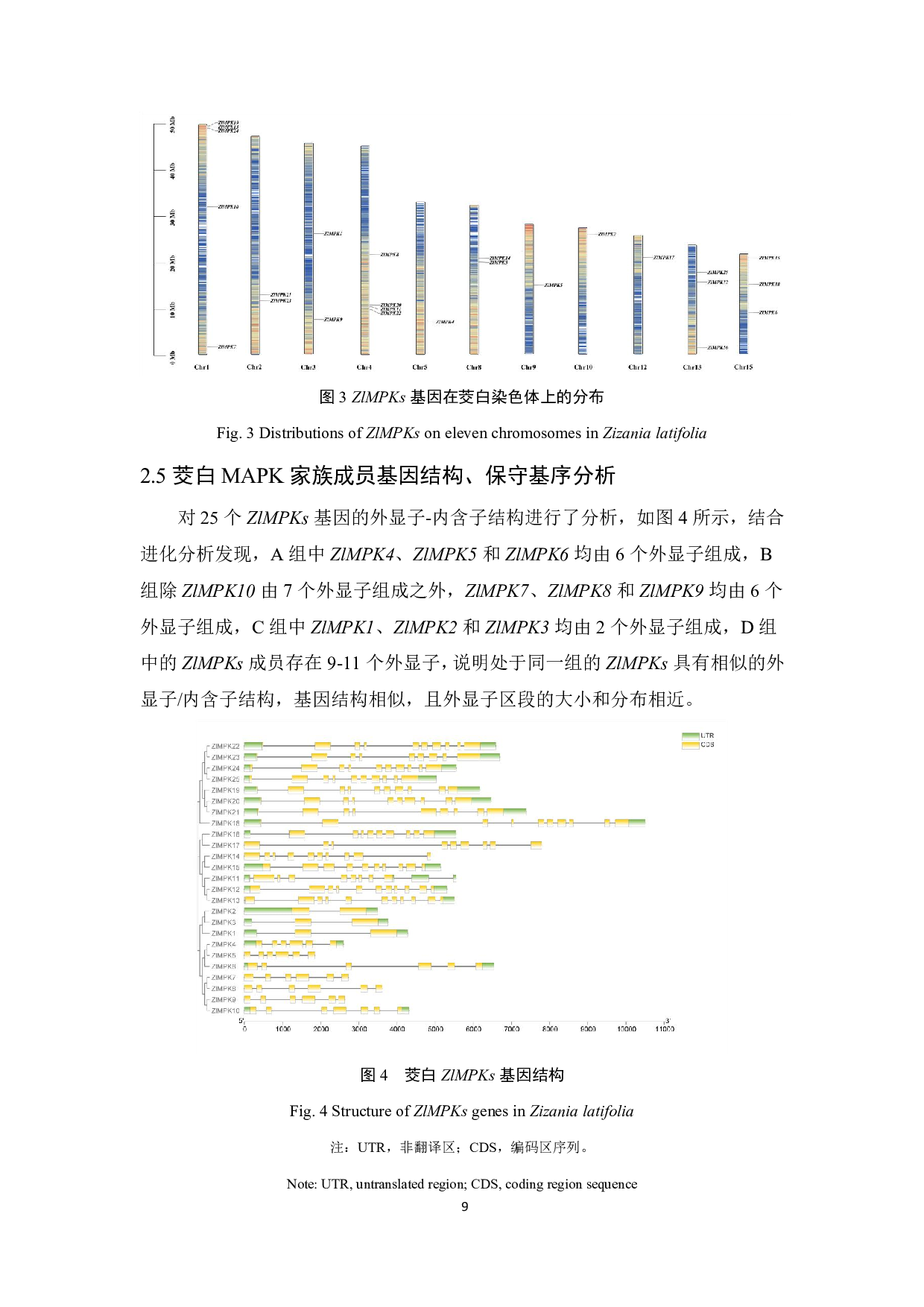 茭白MAPK基因家族鉴定与表达分析-7519字.pdf 第10页
