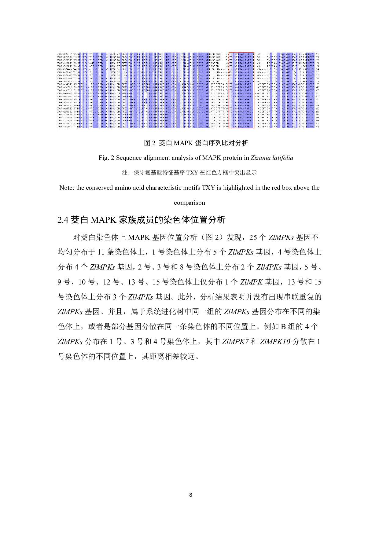 茭白MAPK基因家族鉴定与表达分析-7519字.pdf 第9页