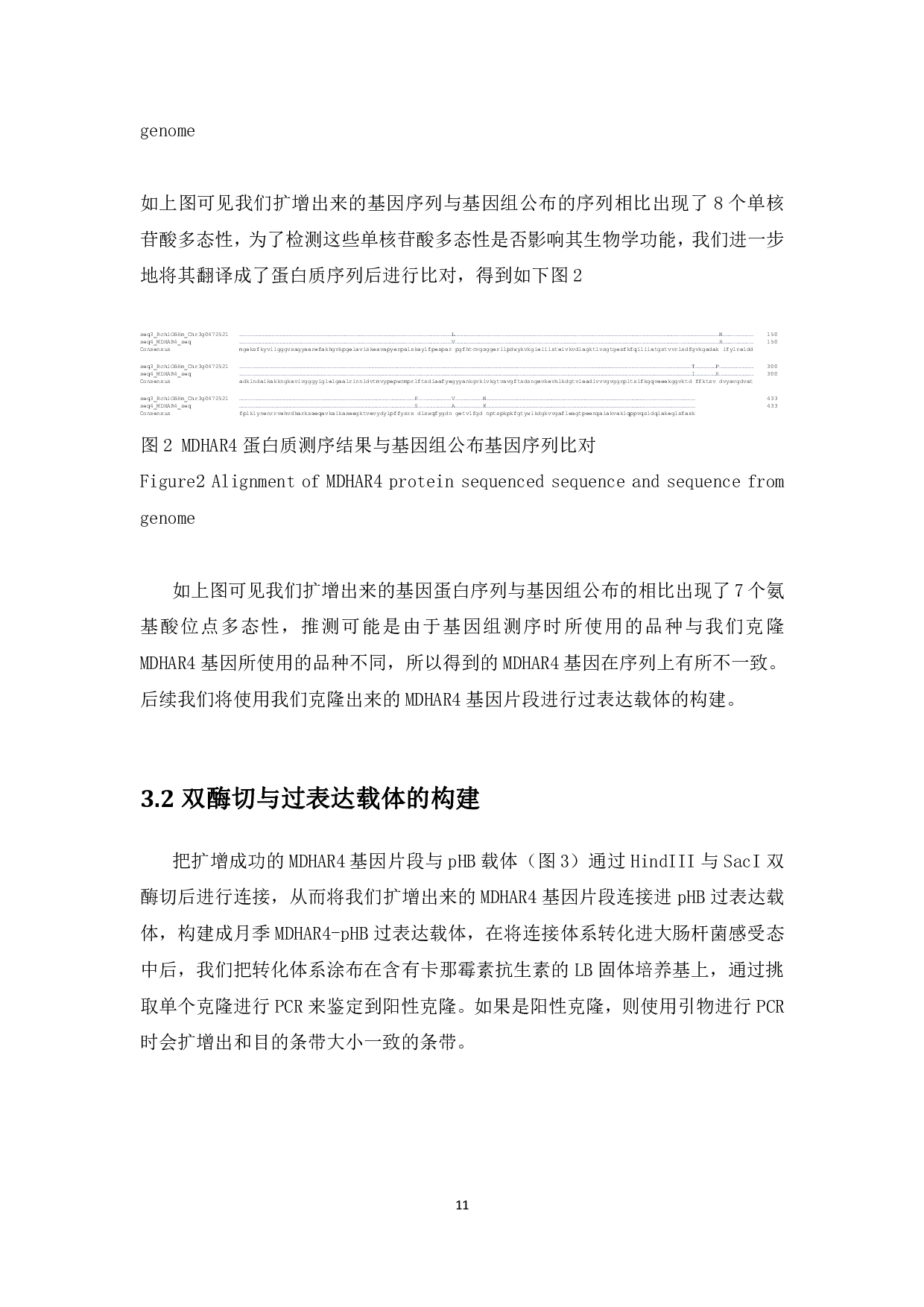 月季MDHAR4基因序列的克隆及过表达载体的构建-12229字.pdf 第10页