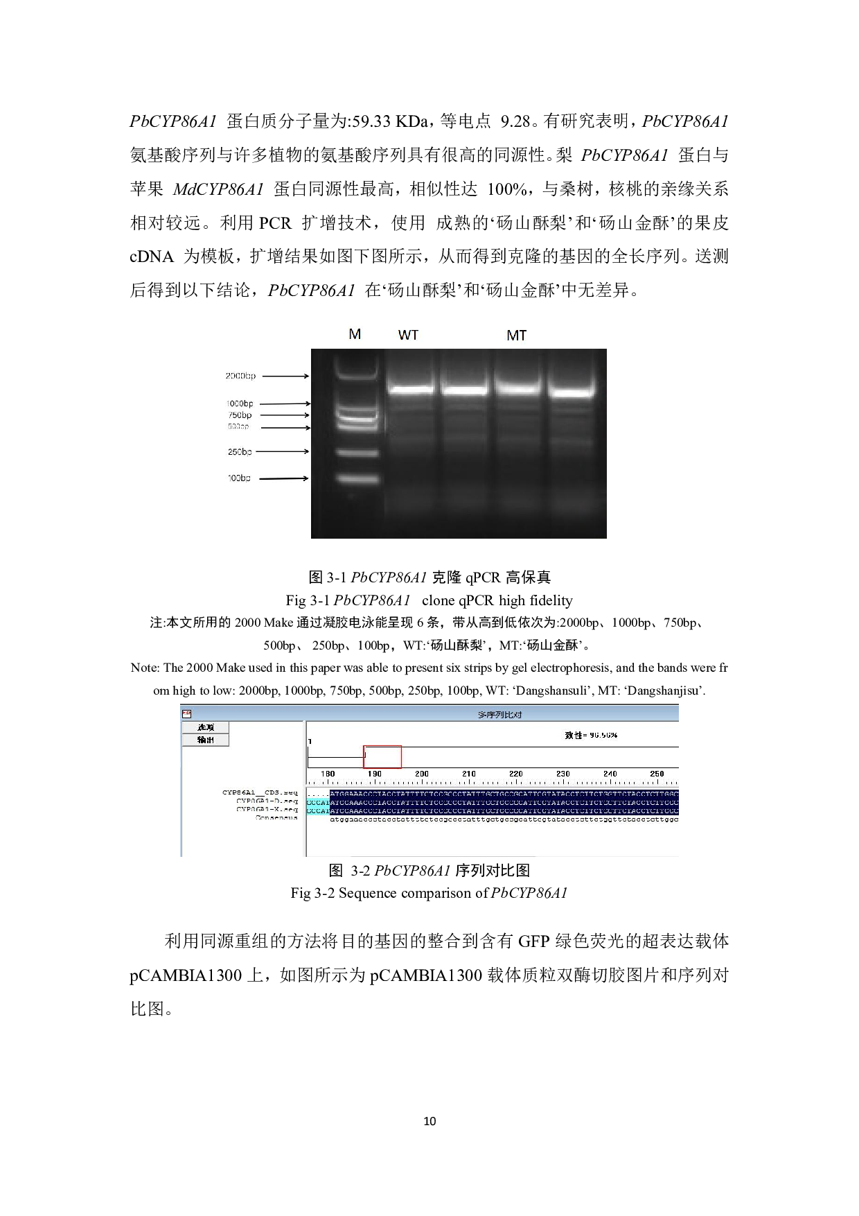 《砀山酥梨PbCYP8A1基因克隆和分析定位》-8969字.pdf 第9页