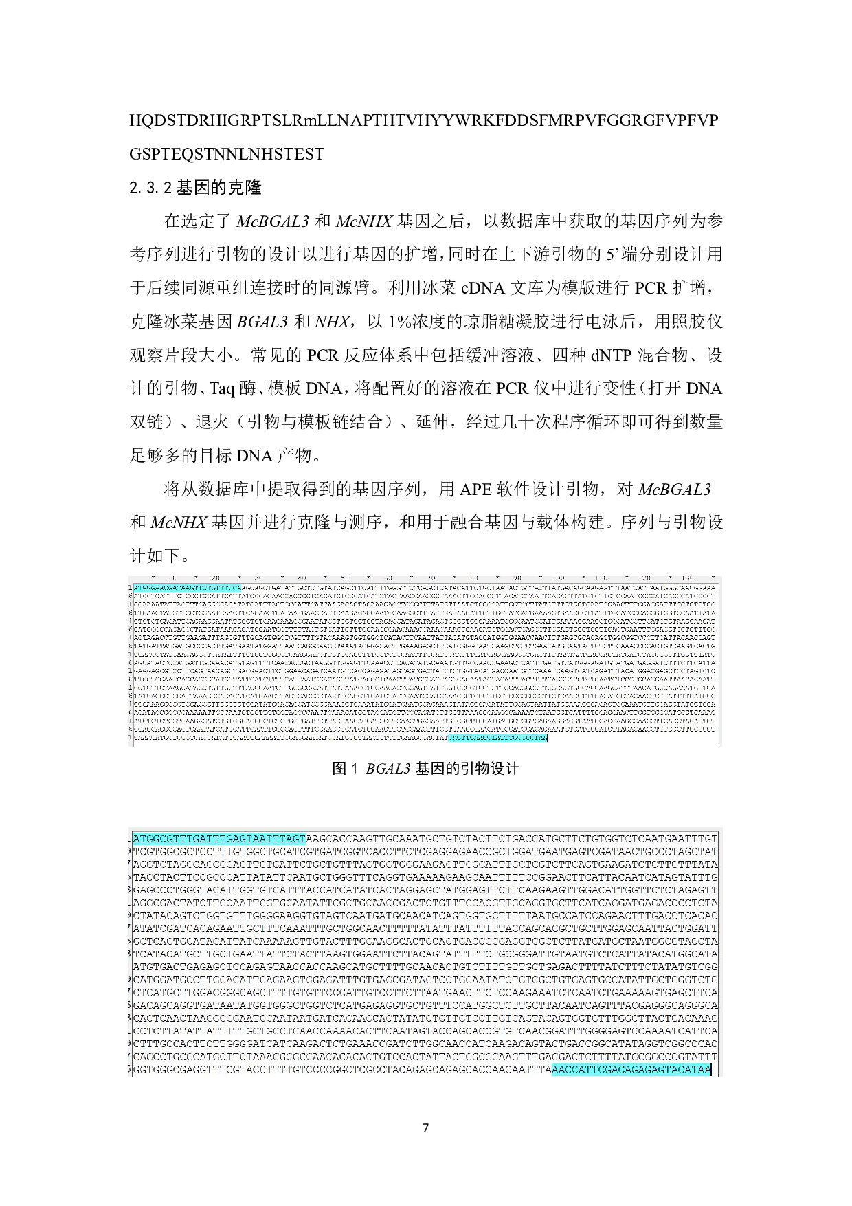 冰菜McBGAL3和NHX基因的克隆与拟南芥转化与鉴定-9777字.pdf 第9页