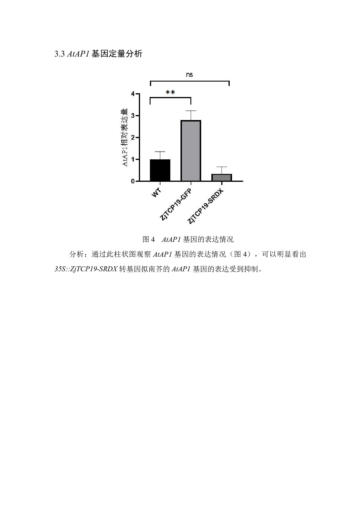 转录因子ZjTCP19对花器发育的影响-6485字.pdf 第10页