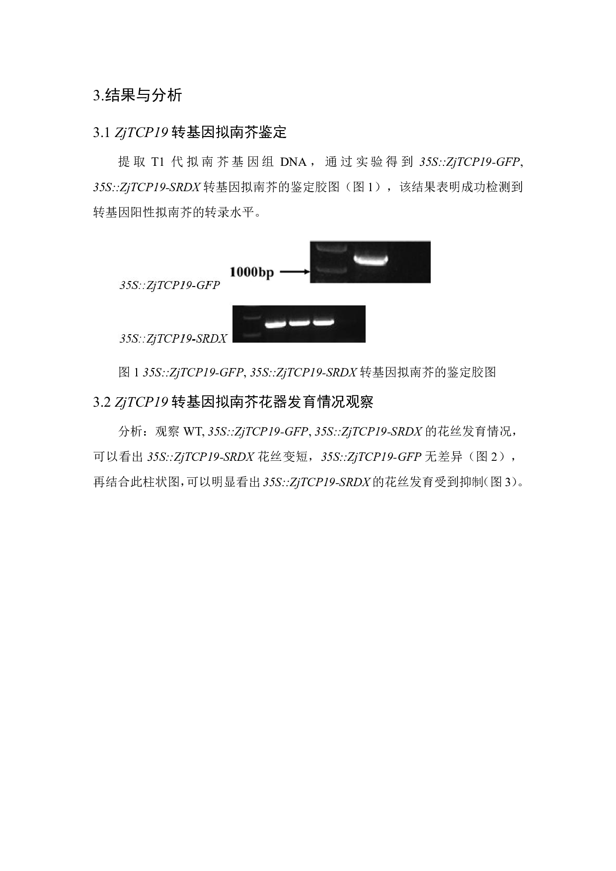 转录因子ZjTCP19对花器发育的影响-6485字.pdf 第8页