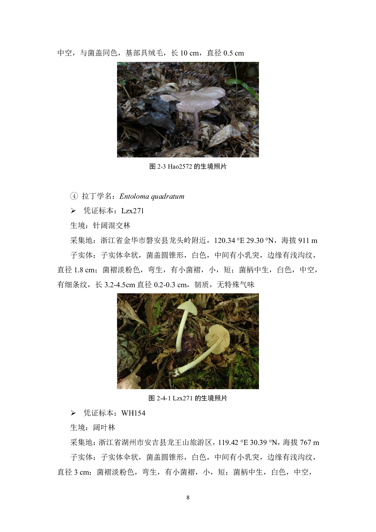 浙江省粉褶菌属分类研究-9333字.pdf 第9页