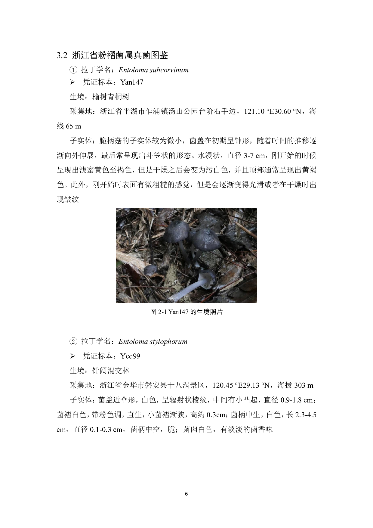 浙江省粉褶菌属分类研究-9333字.pdf 第7页