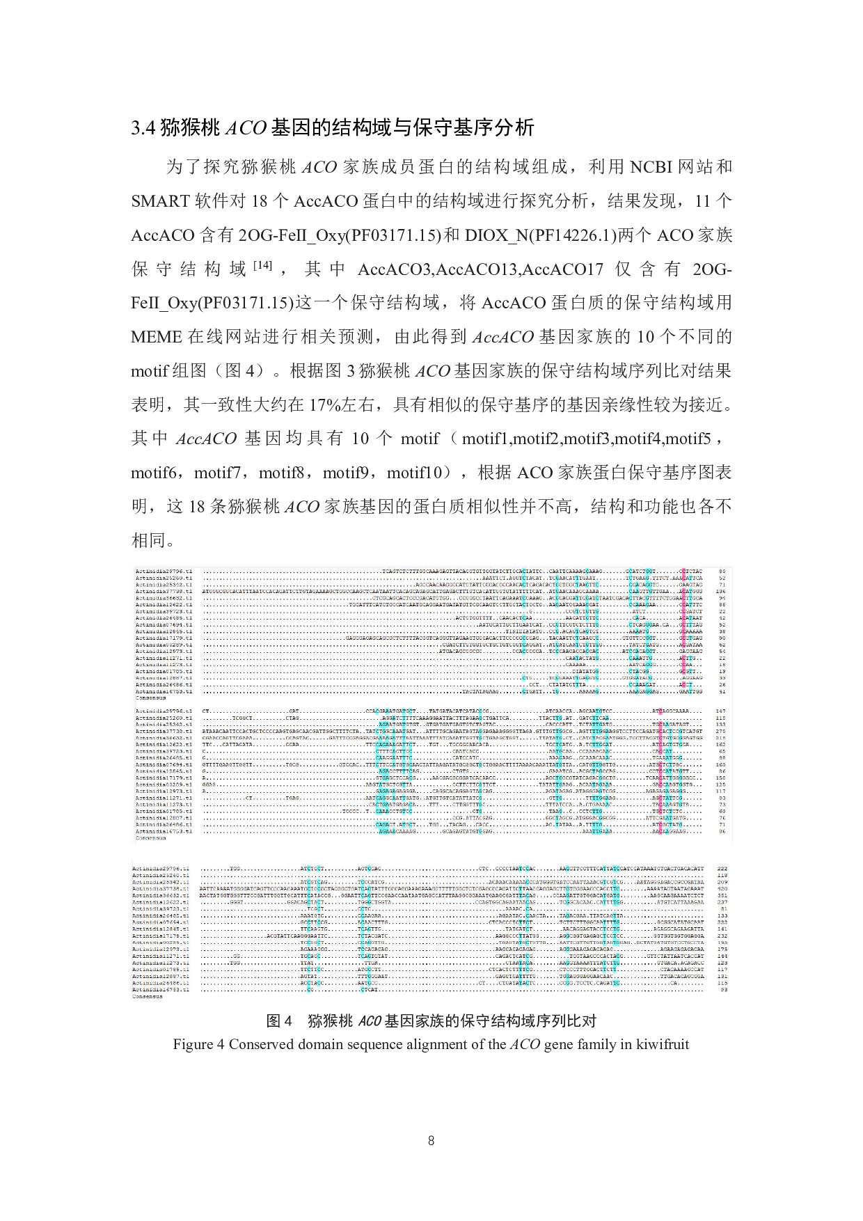 猕猴桃乙烯合成酶ACO基因家族的生物信息学鉴定与分析-7221字.pdf 第10页