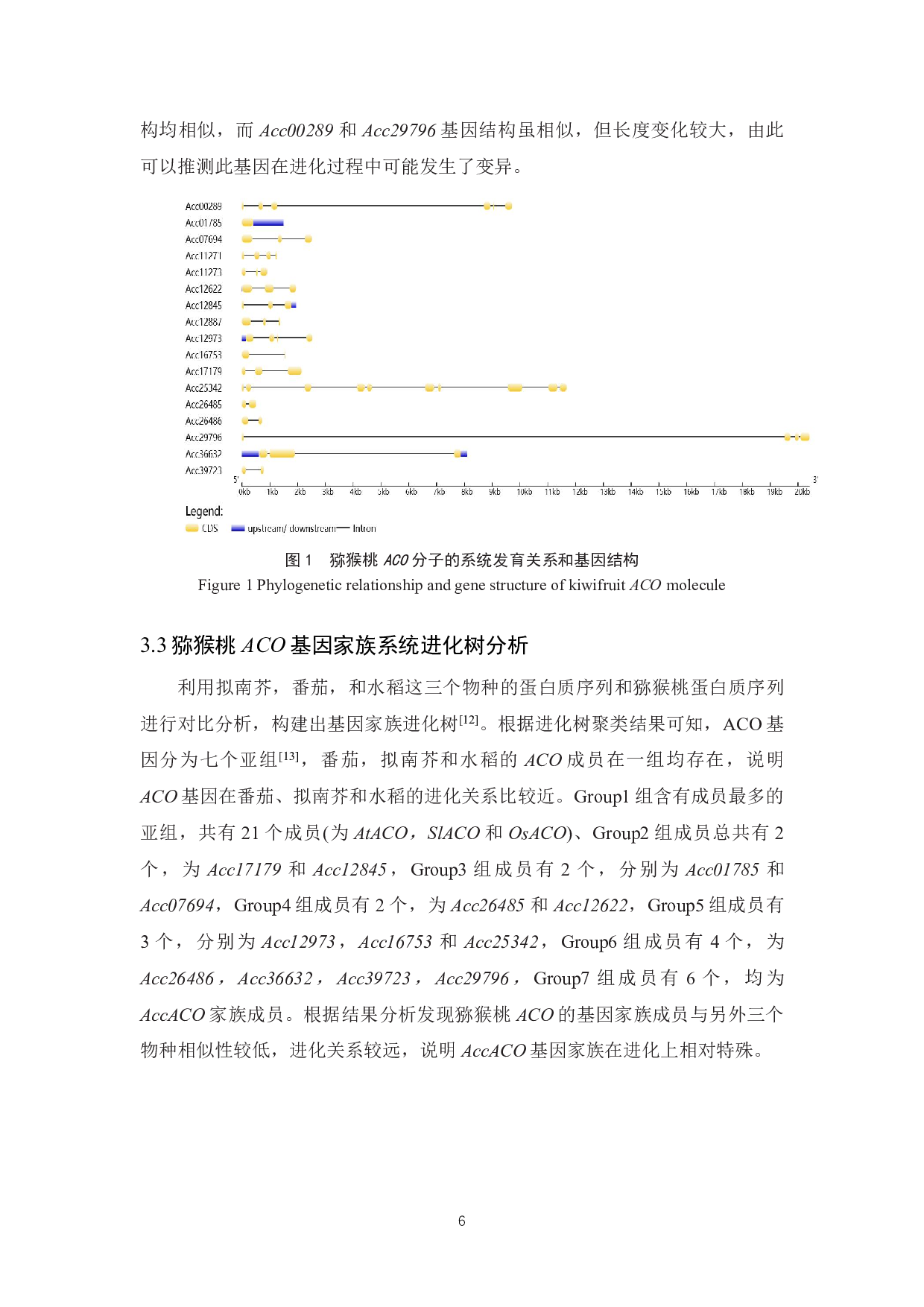 猕猴桃乙烯合成酶ACO基因家族的生物信息学鉴定与分析-7221字.pdf 第8页