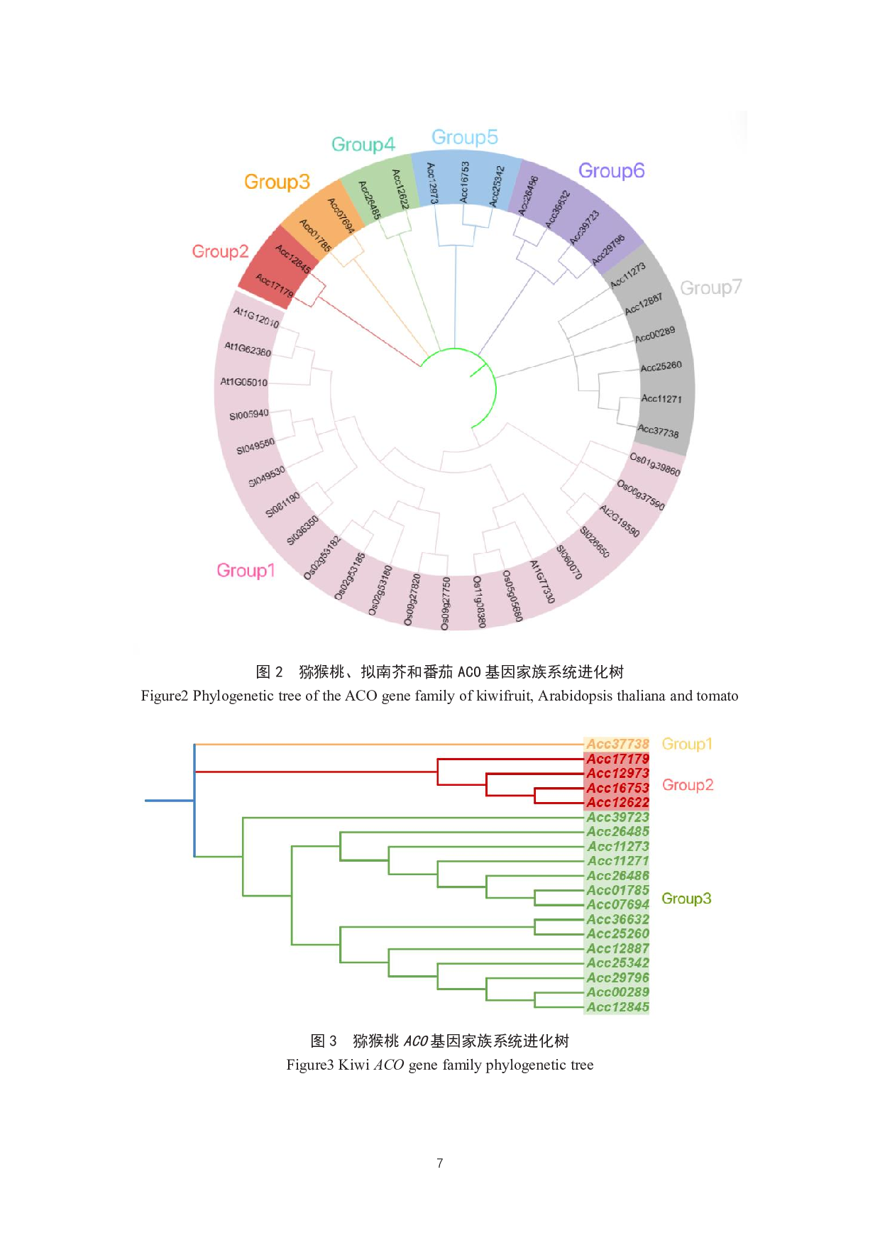 猕猴桃乙烯合成酶ACO基因家族的生物信息学鉴定与分析-7221字.pdf 第9页