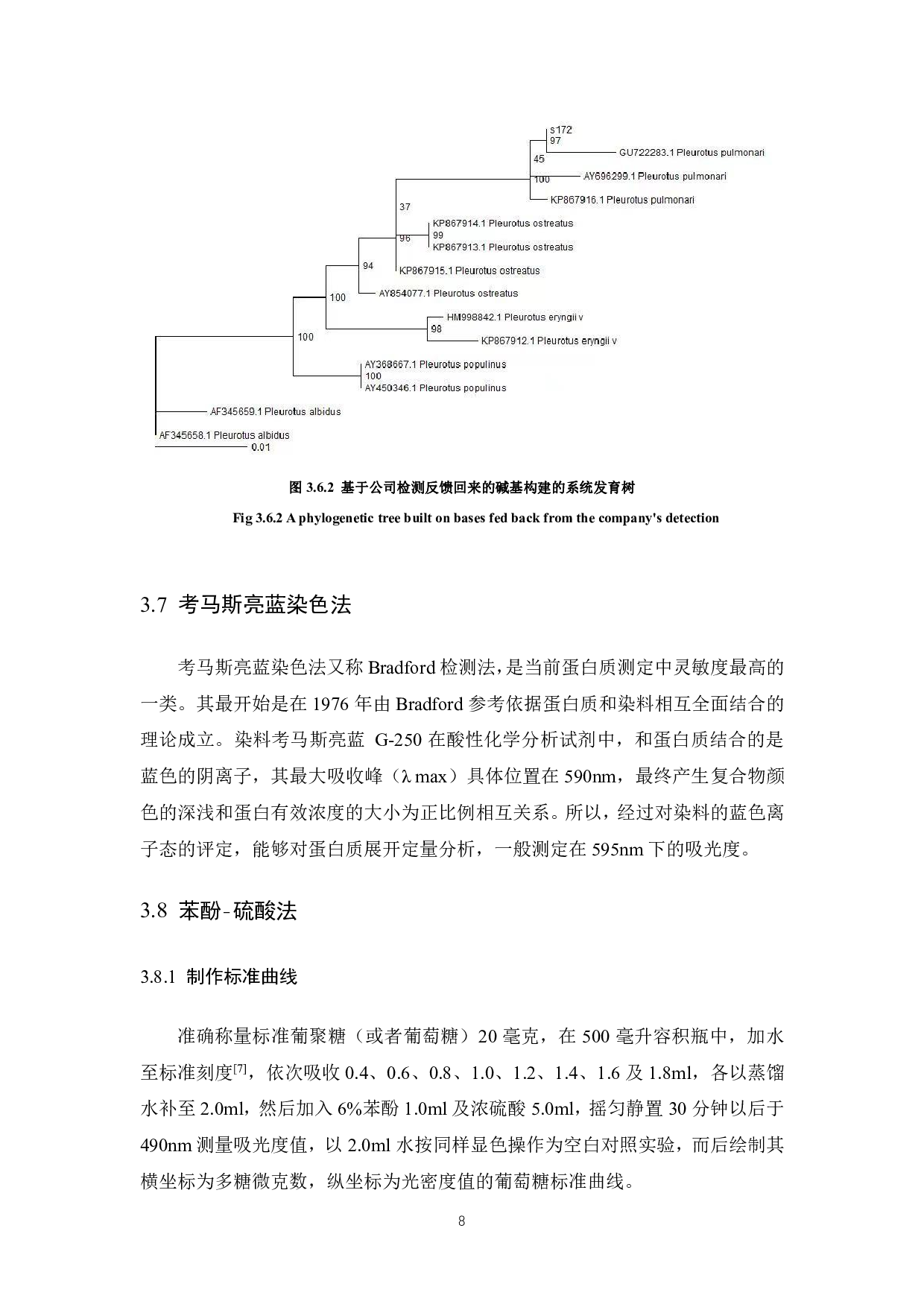 野生秀珍菇菌株的驯化栽培研究-7955字.pdf 第10页