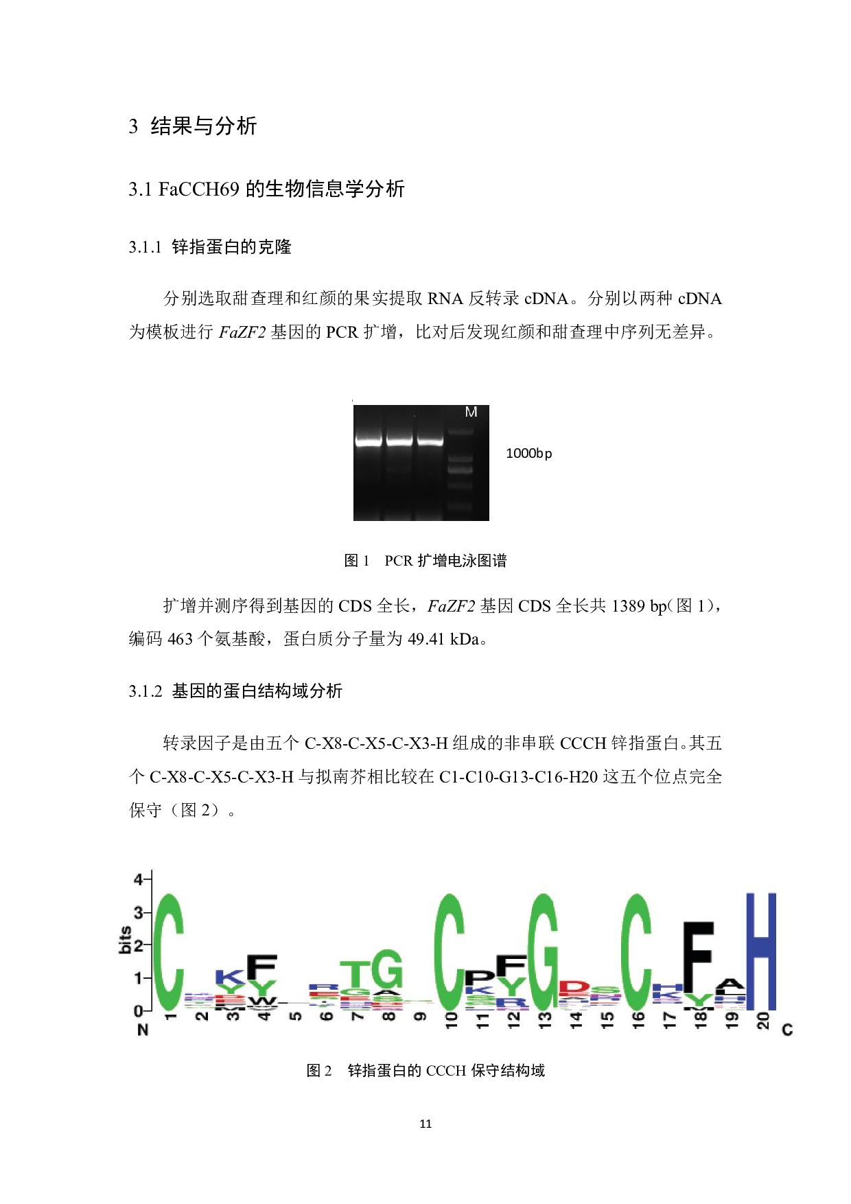 FaZF2基因克隆与表达分析-6843字.pdf 第10页