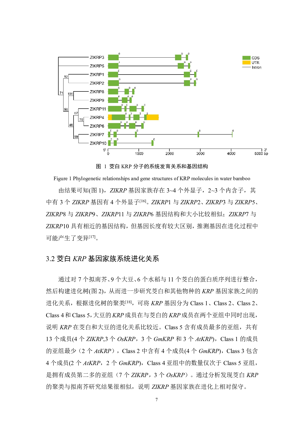 茭白KRP基因家族的生物信息学鉴定与分析-6245字.pdf 第9页